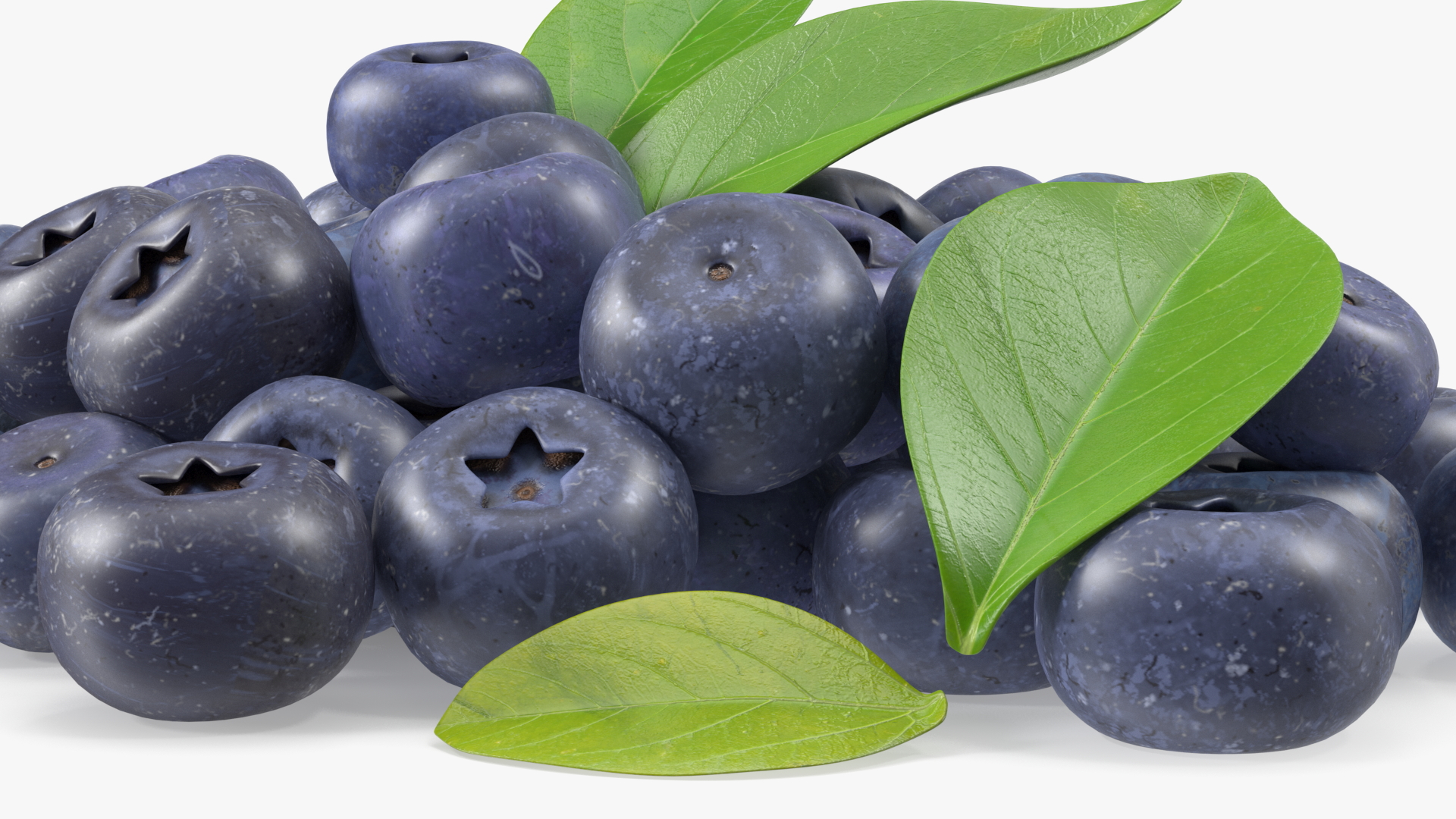 Bunch of Garden Ripe Blueberries 3D