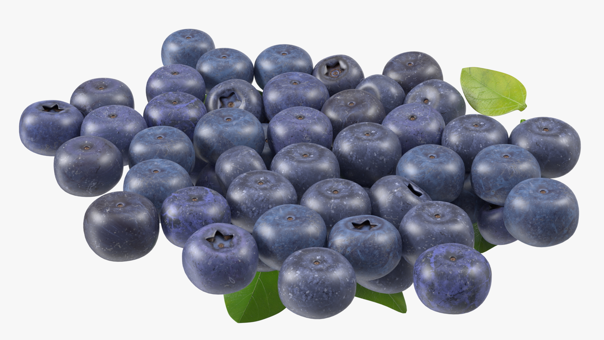 Bunch of Garden Ripe Blueberries 3D