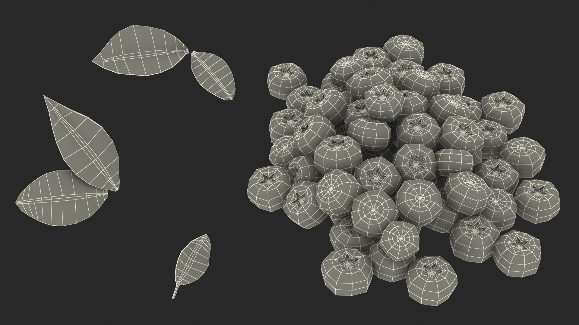 Bunch of Garden Ripe Blueberries 3D