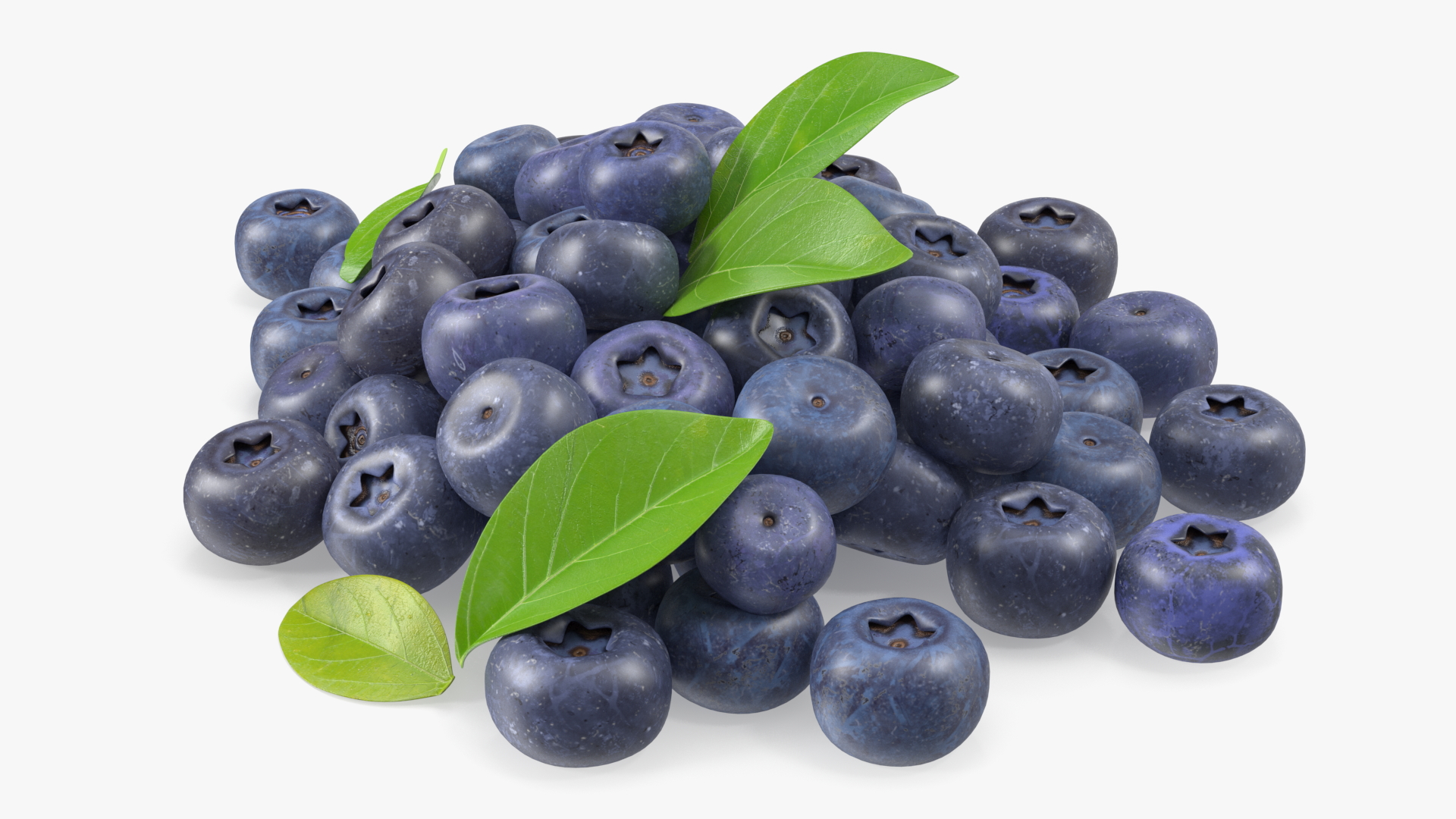 Bunch of Garden Ripe Blueberries 3D