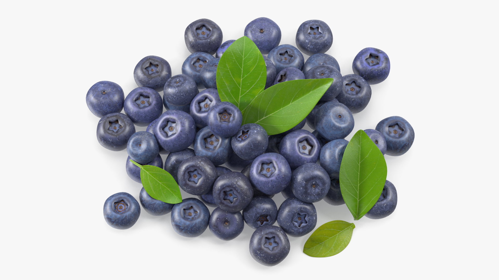 Bunch of Garden Ripe Blueberries 3D