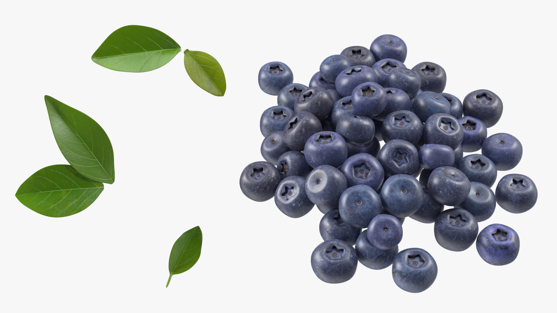 Bunch of Garden Ripe Blueberries 3D