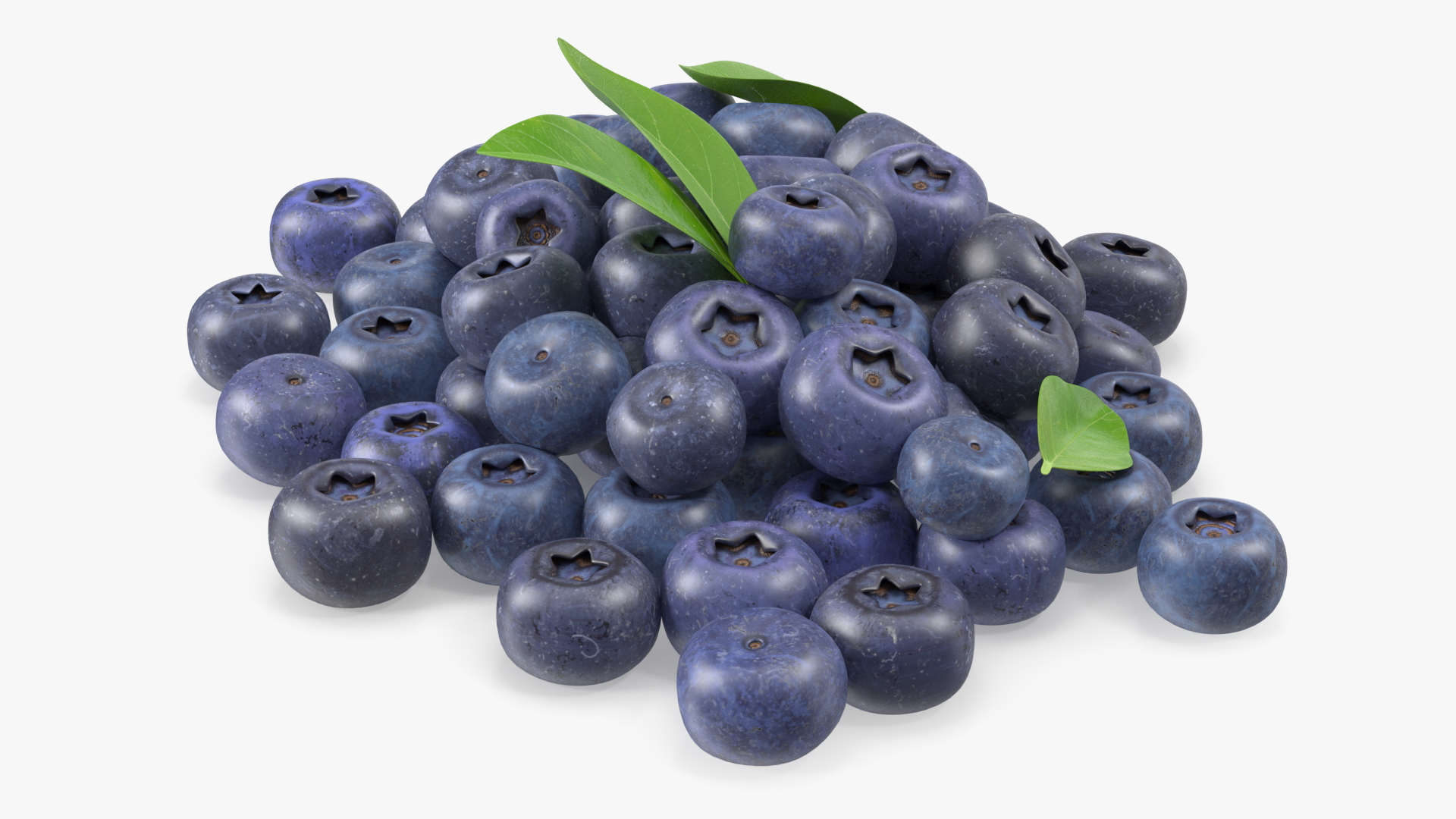 Bunch of Garden Ripe Blueberries 3D