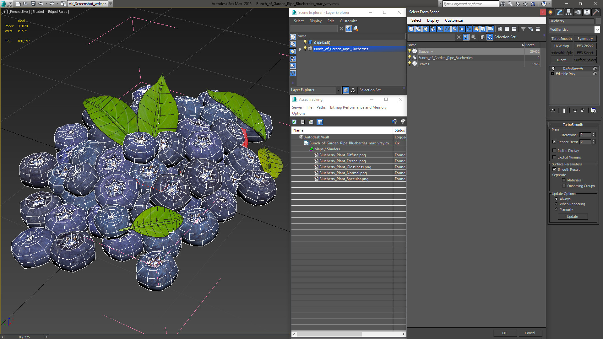 Bunch of Garden Ripe Blueberries 3D