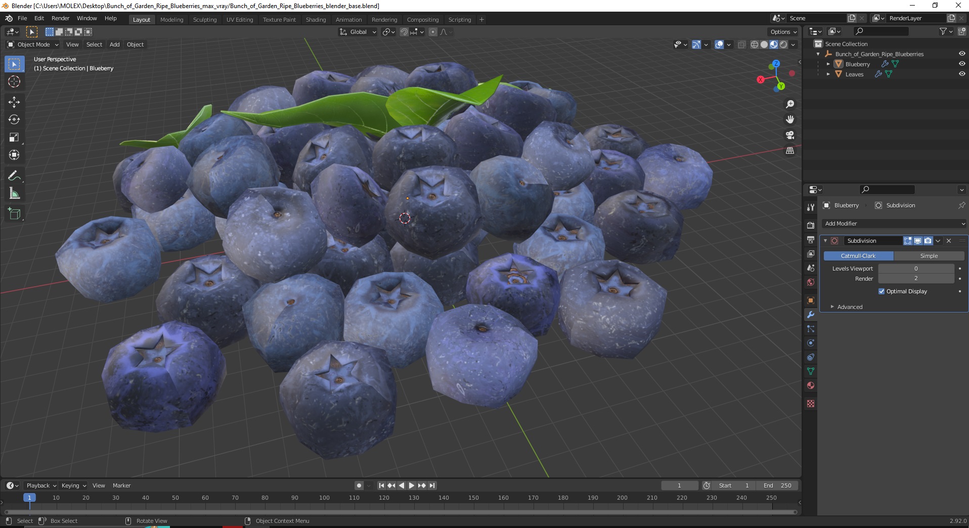 Bunch of Garden Ripe Blueberries 3D