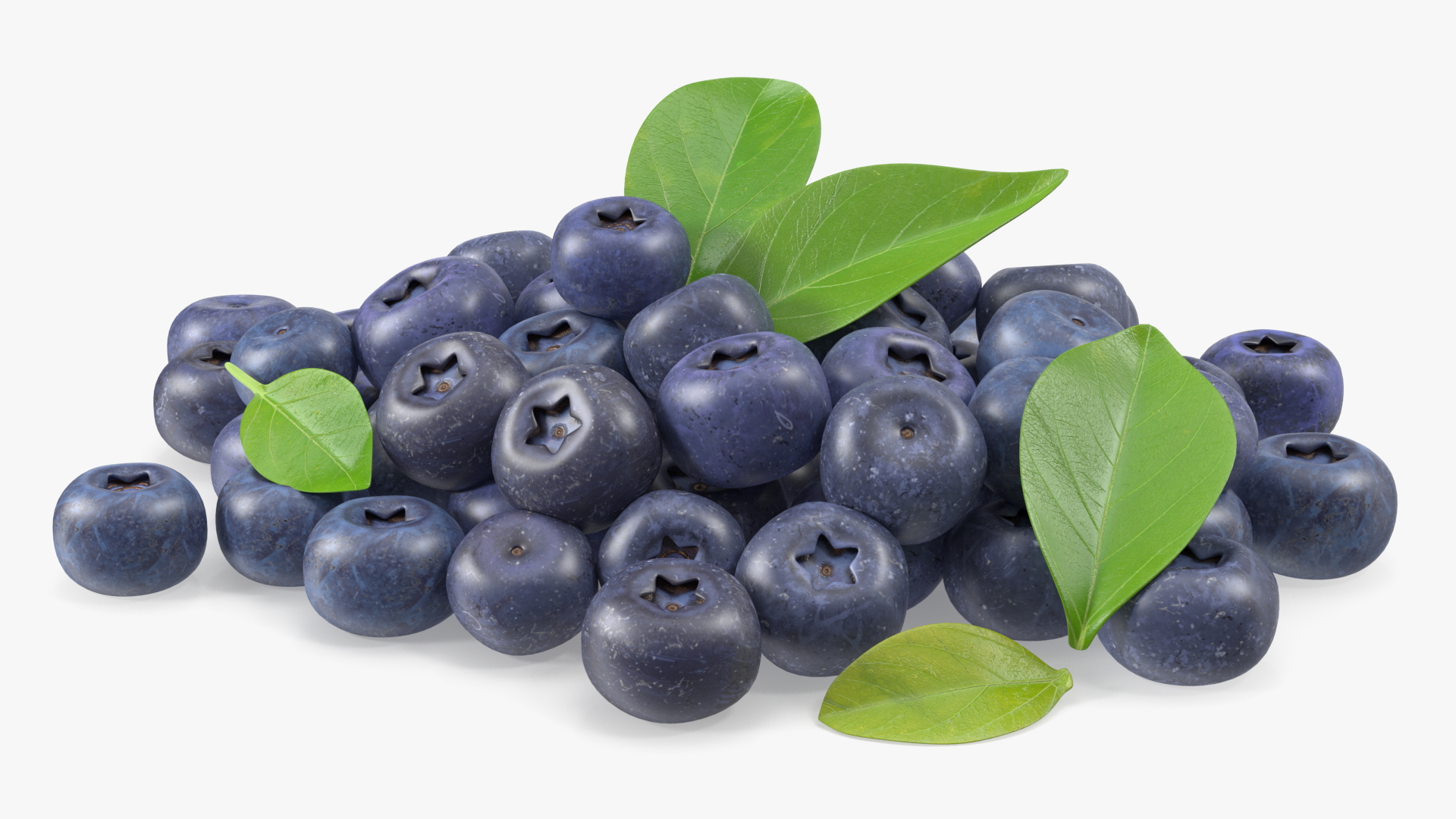 Bunch of Garden Ripe Blueberries 3D