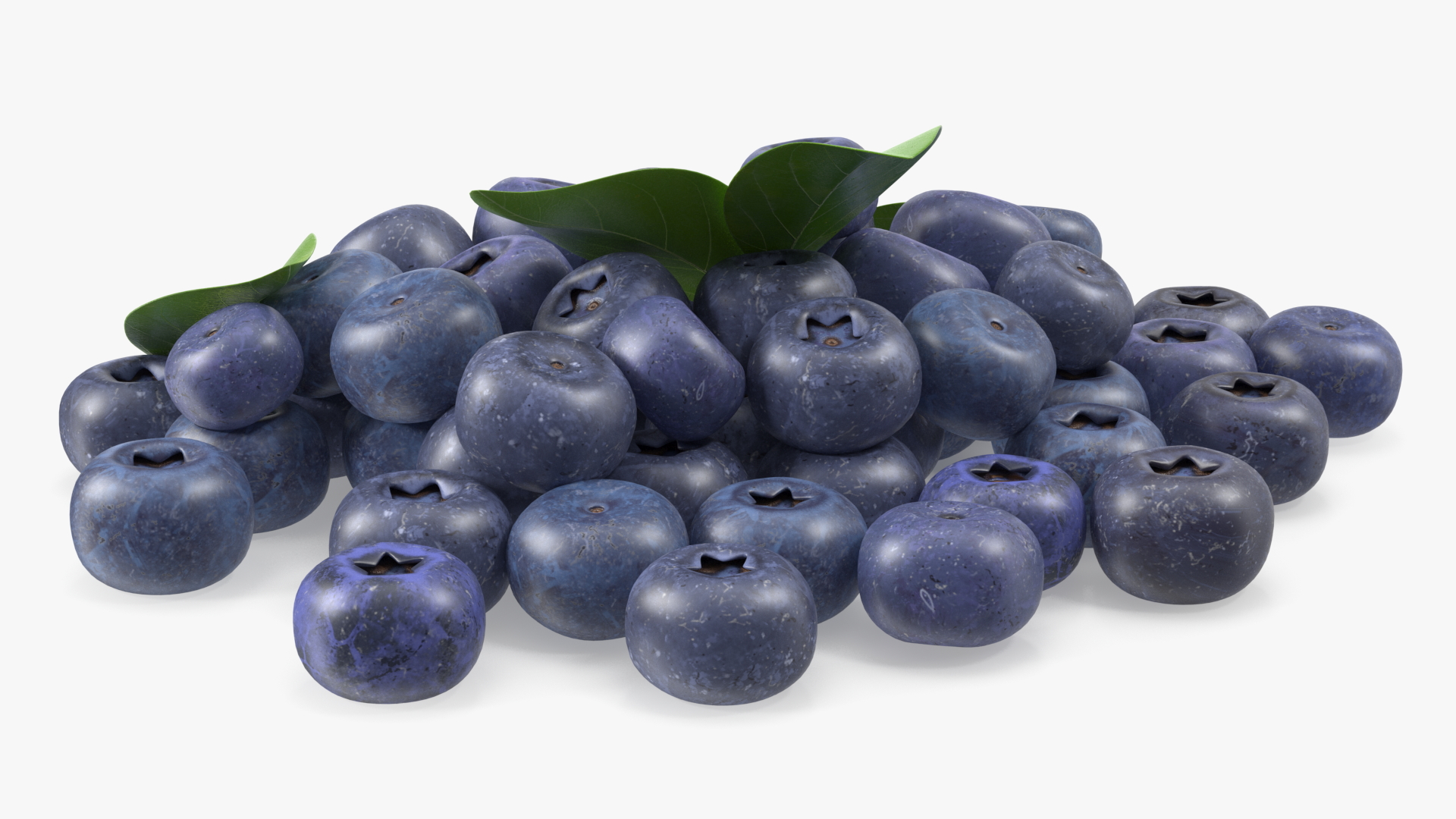 Bunch of Garden Ripe Blueberries 3D