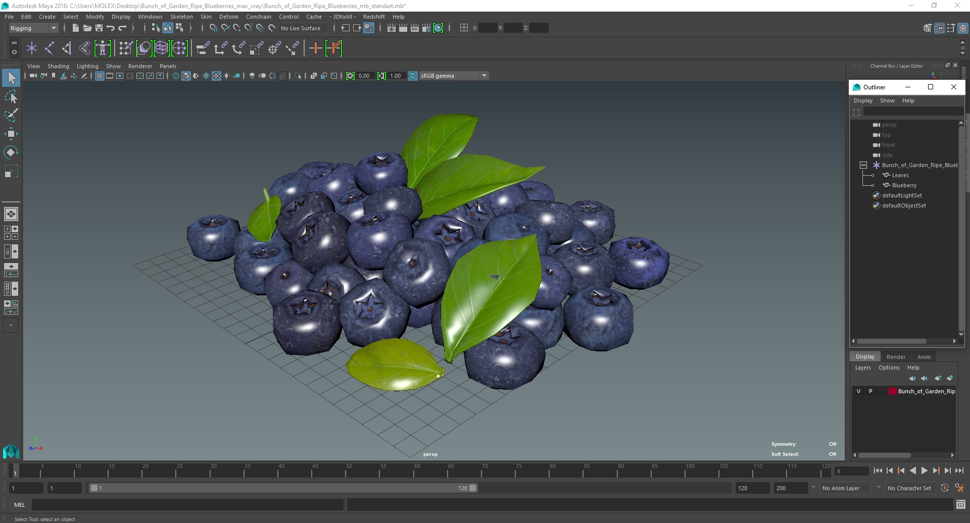 Bunch of Garden Ripe Blueberries 3D