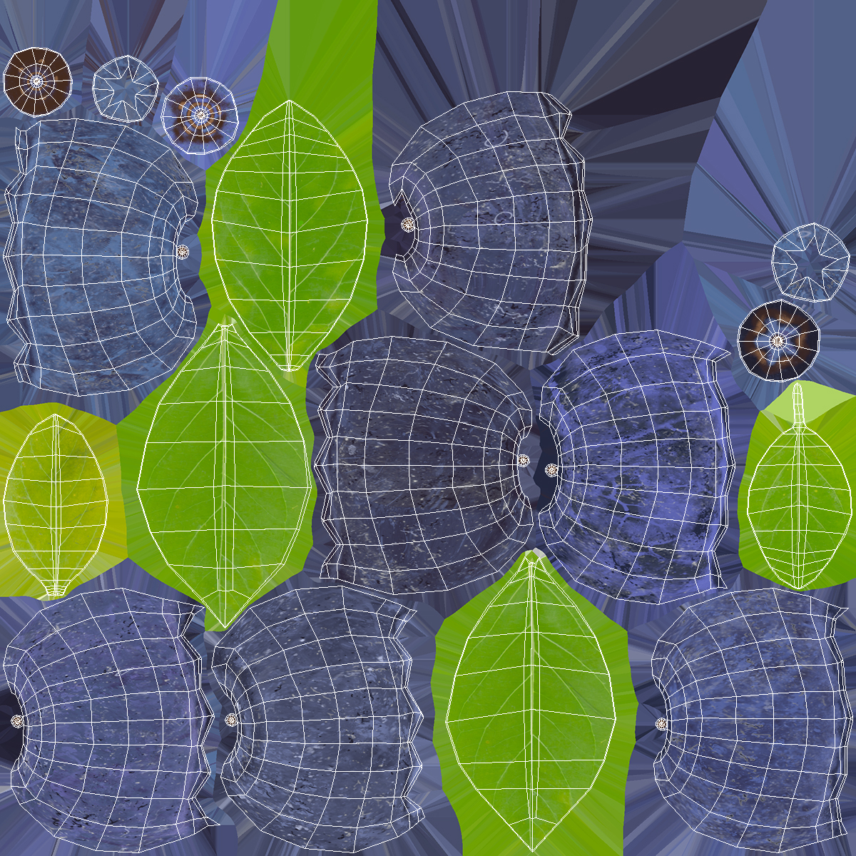 Bunch of Garden Ripe Blueberries 3D