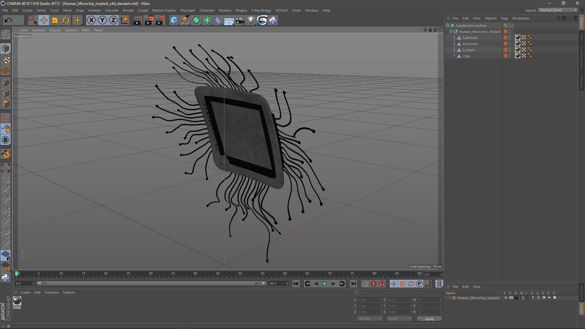 3D Human Microchip Implant model