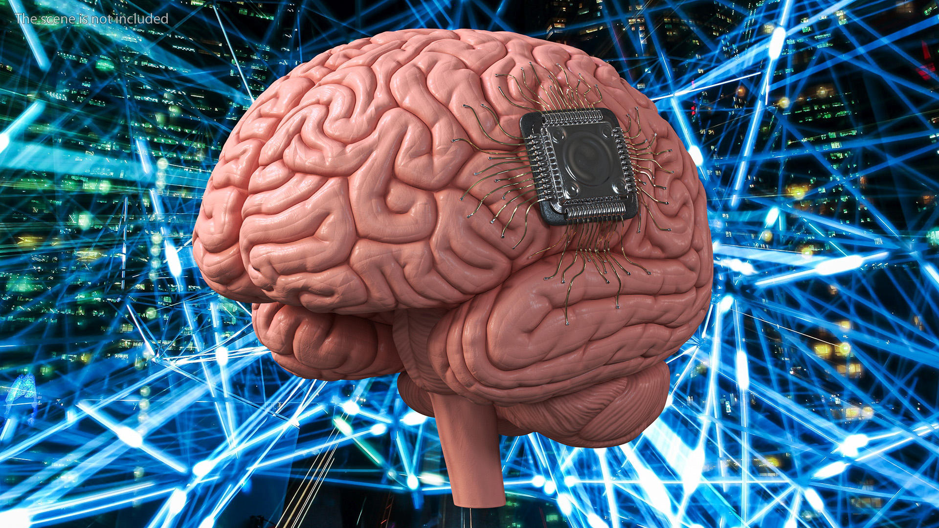 3D Human Microchip Implant model