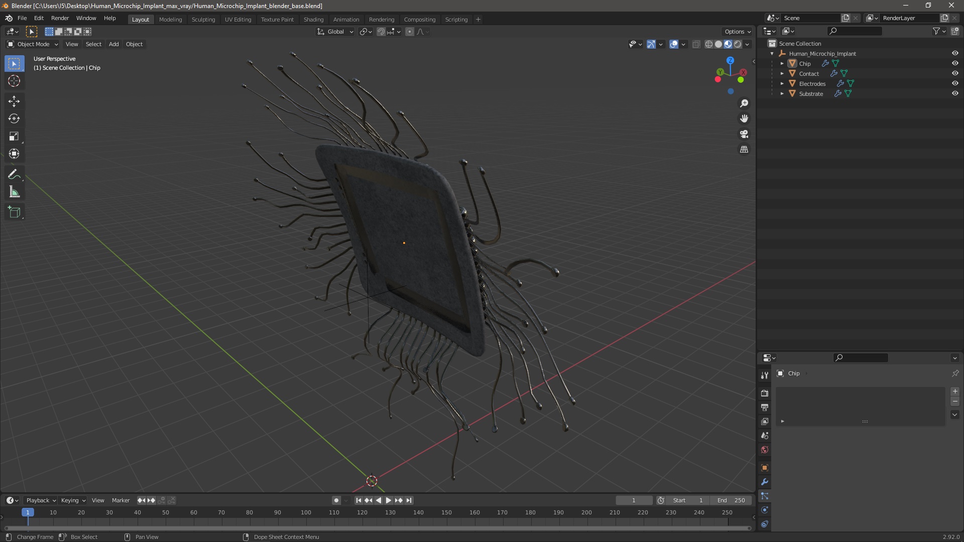 3D Human Microchip Implant model