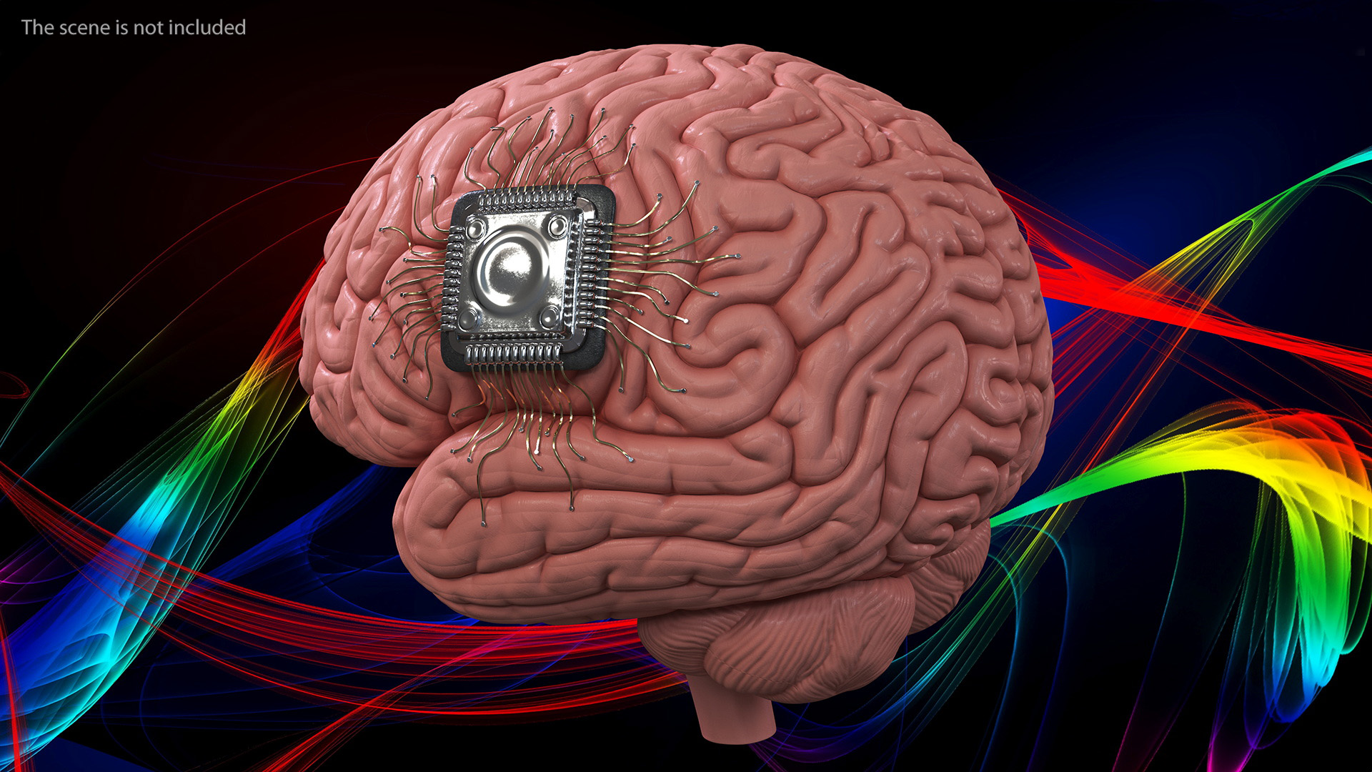 3D Human Microchip Implant model