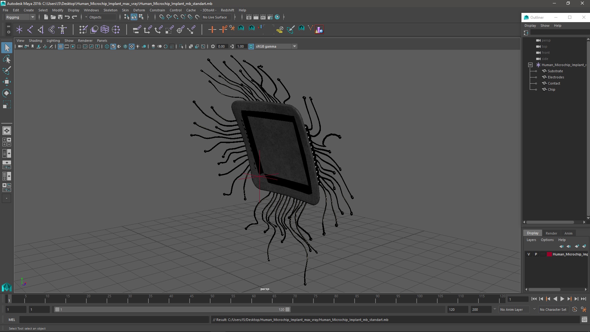 3D Human Microchip Implant model