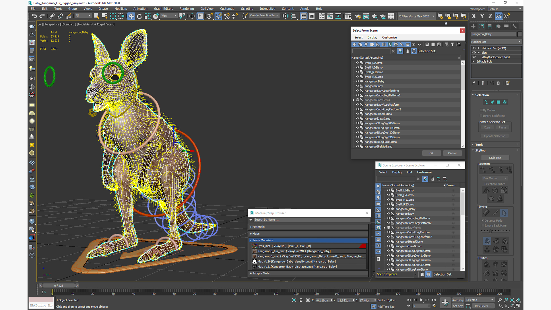 Baby Kangaroo Fur Rigged 3D model