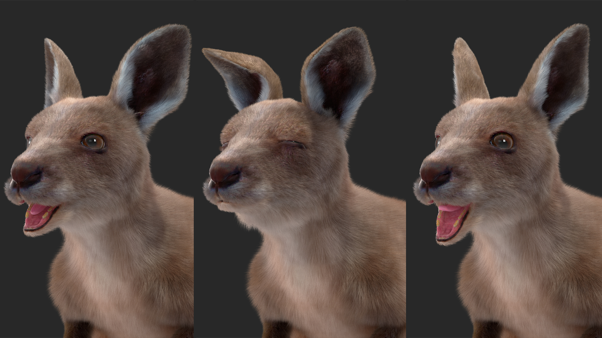 Baby Kangaroo Fur Rigged 3D model