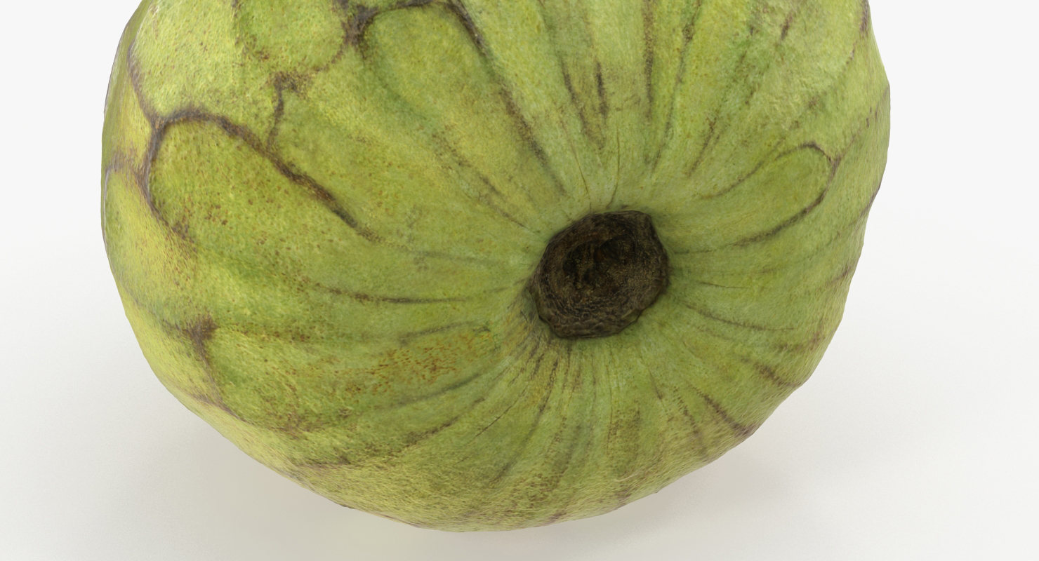 3D model Cherimoya or Annona Cherimola Fruit
