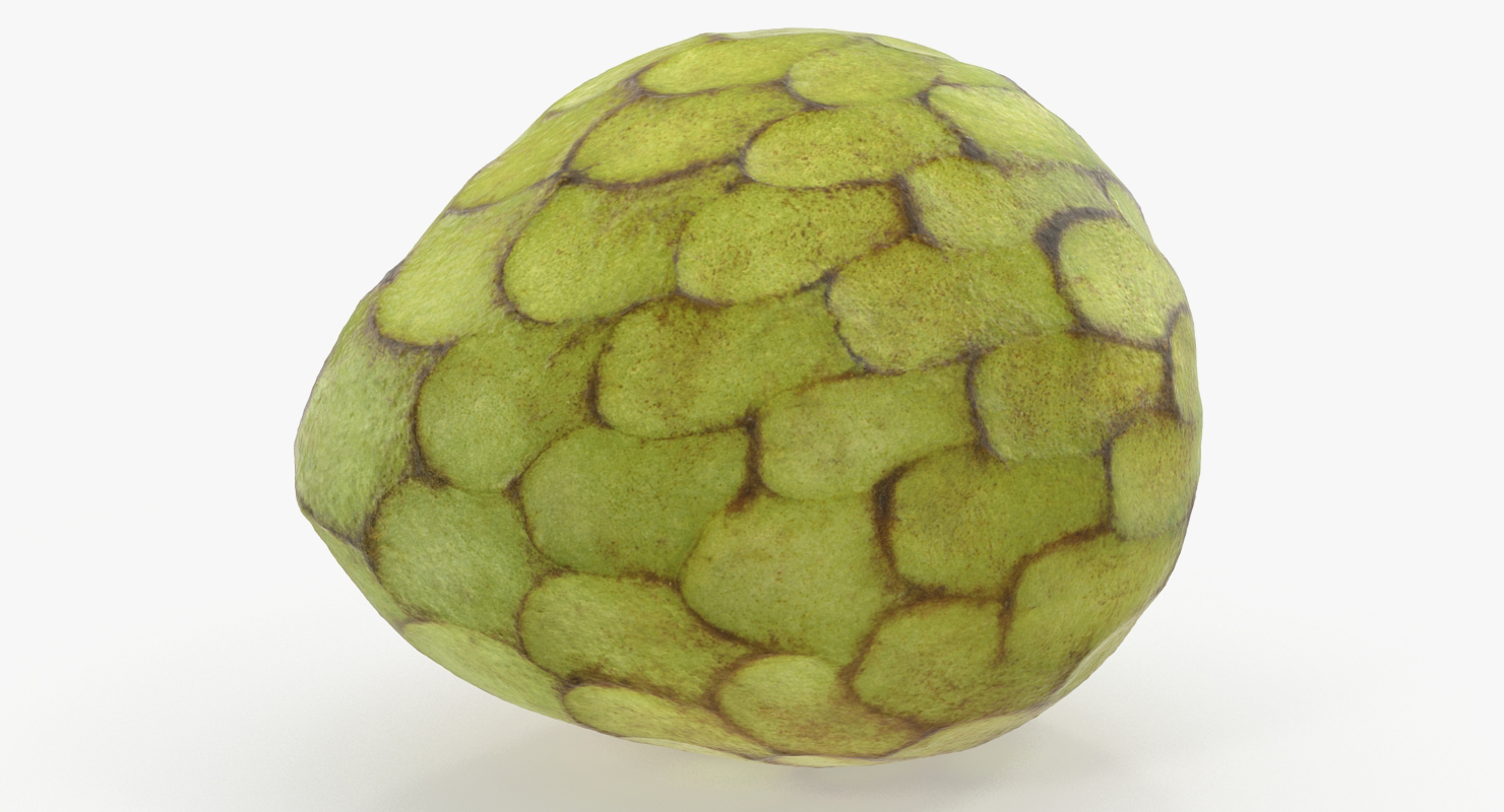 3D model Cherimoya or Annona Cherimola Fruit