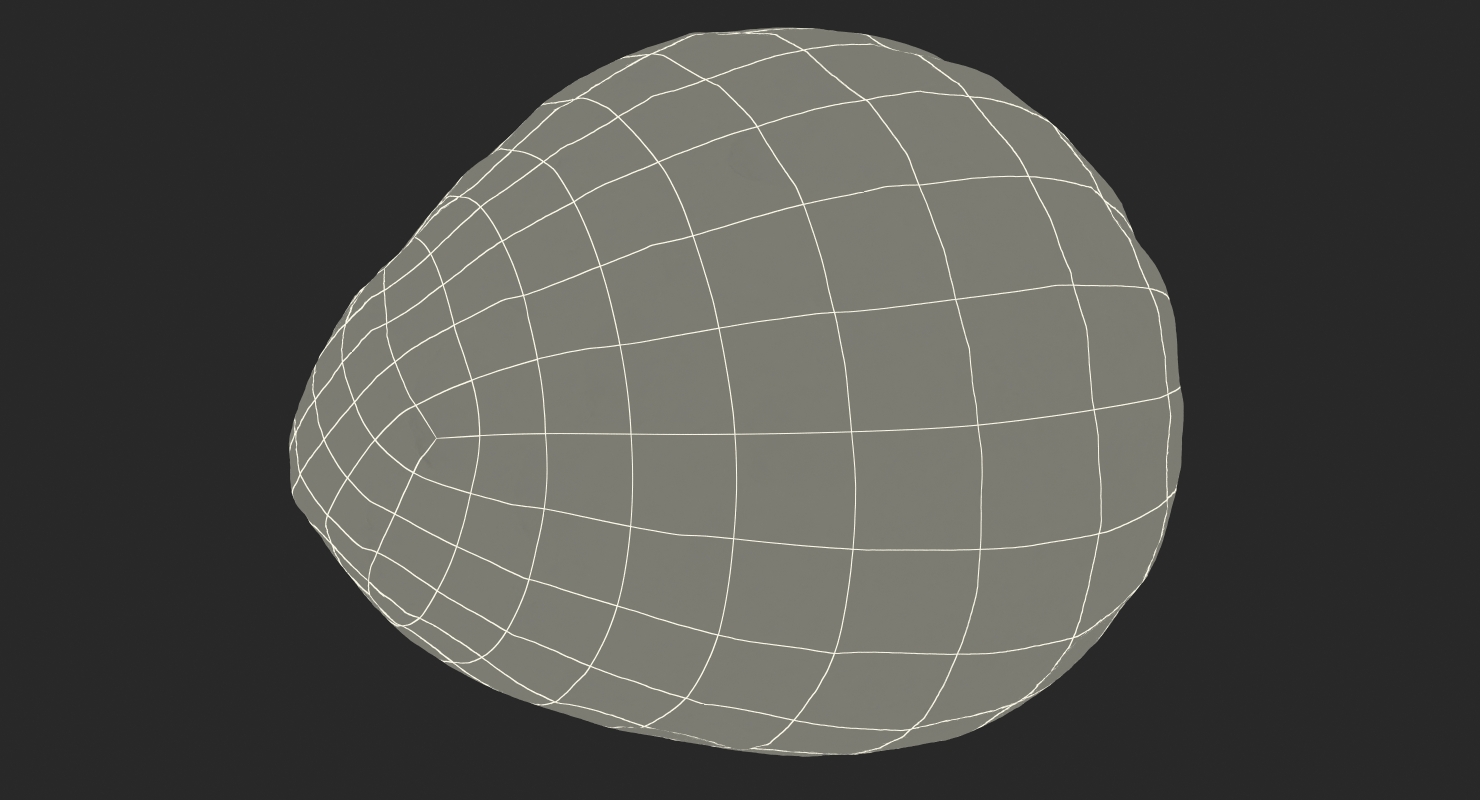 3D model Cherimoya or Annona Cherimola Fruit