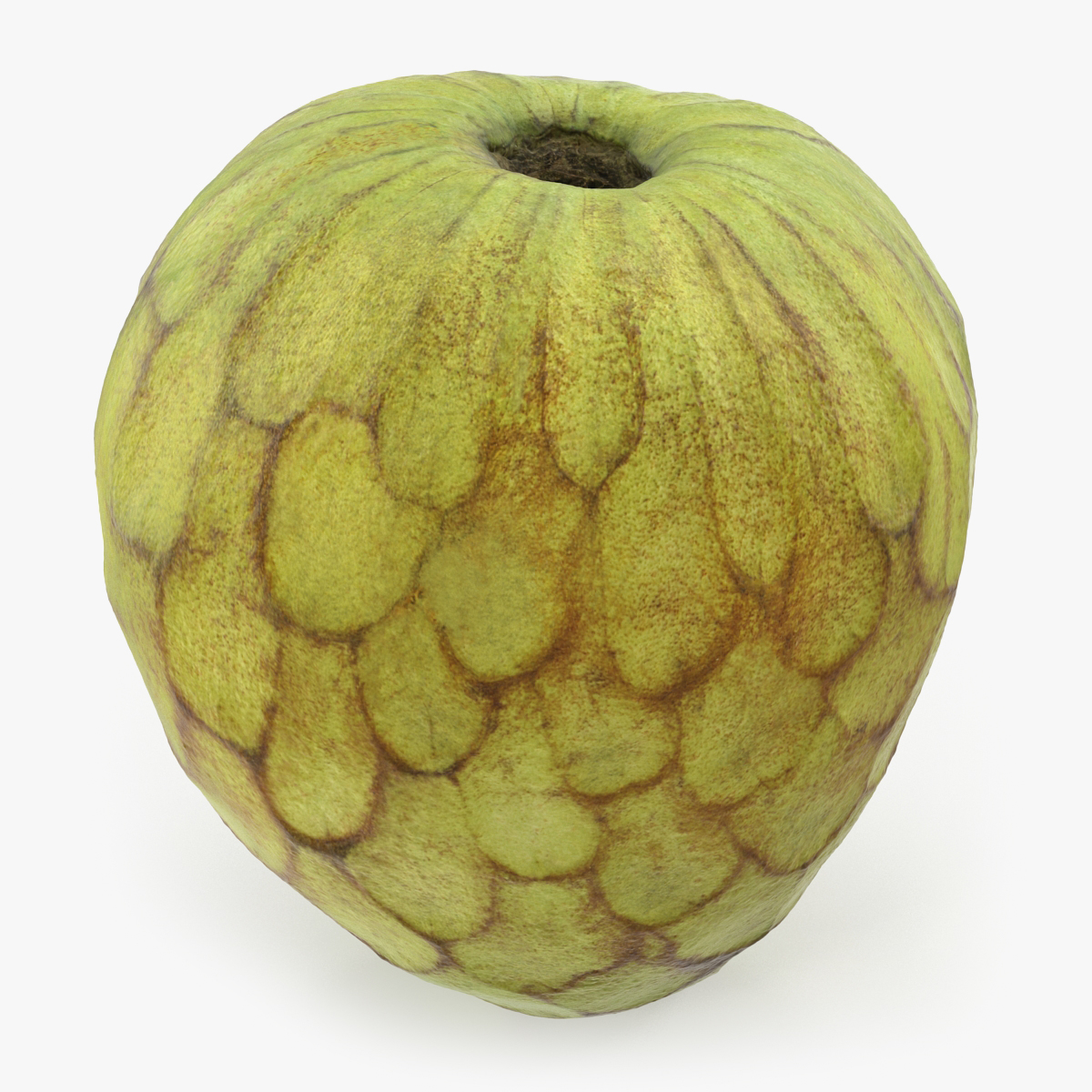 Cherimoya or Annona Cherimola Fruit 3D Model