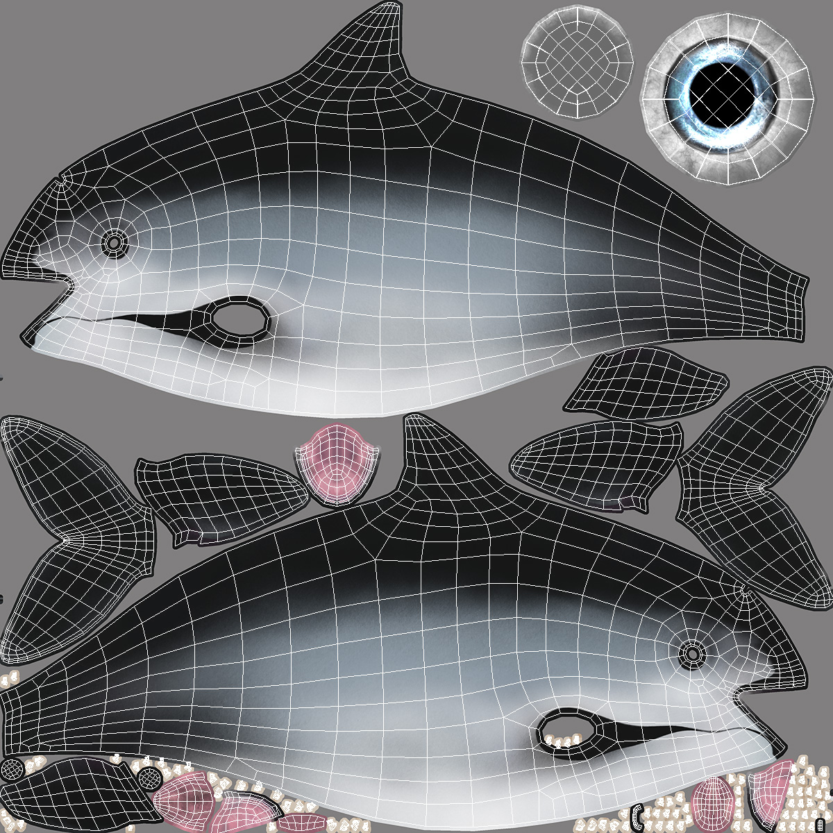Phocoena Sinus Idle Pose 3D model