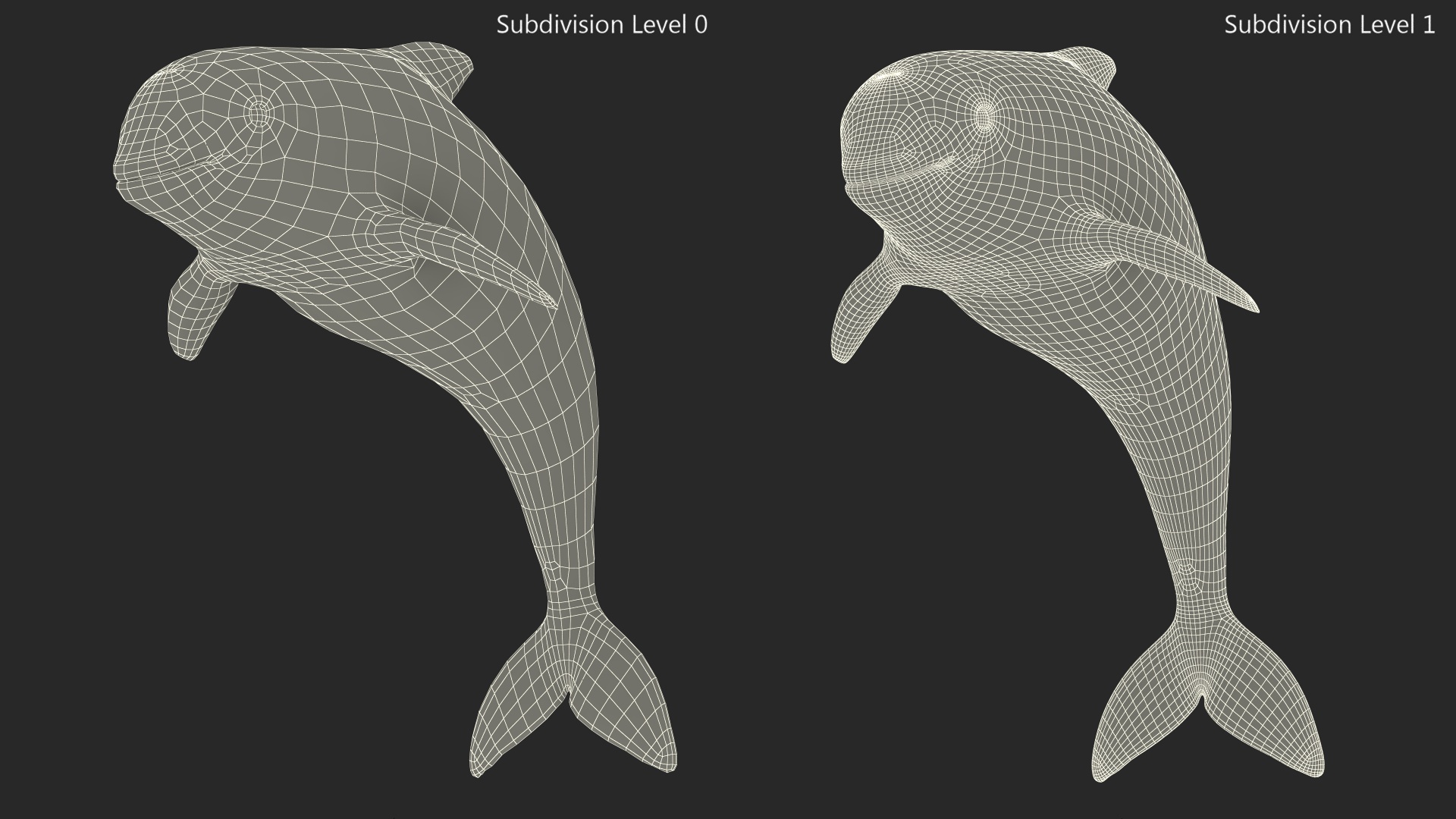 Phocoena Sinus Idle Pose 3D model