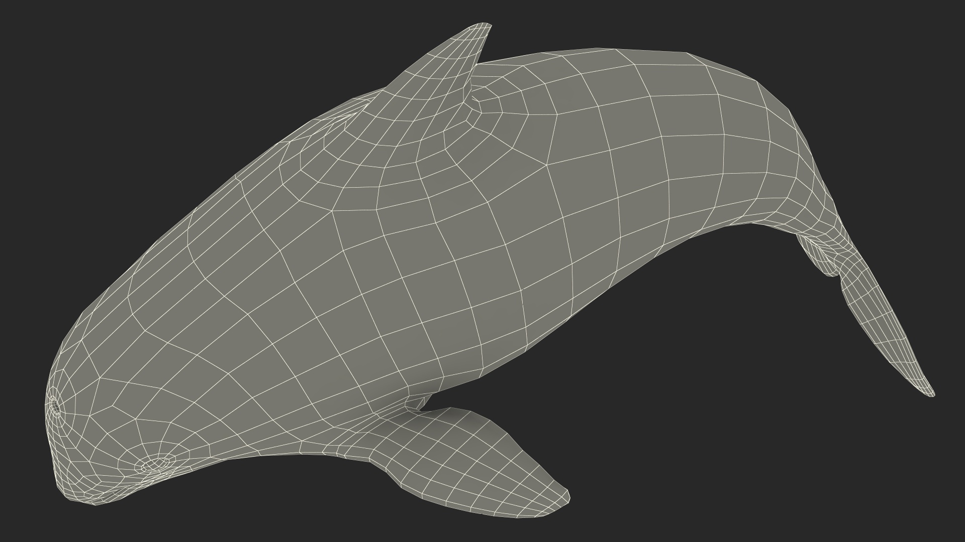 Phocoena Sinus Idle Pose 3D model