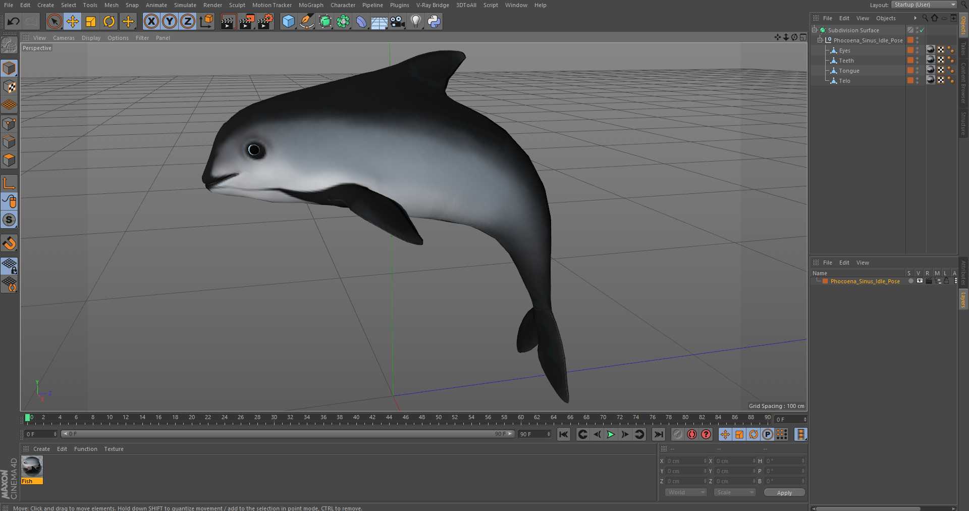 Phocoena Sinus Idle Pose 3D model