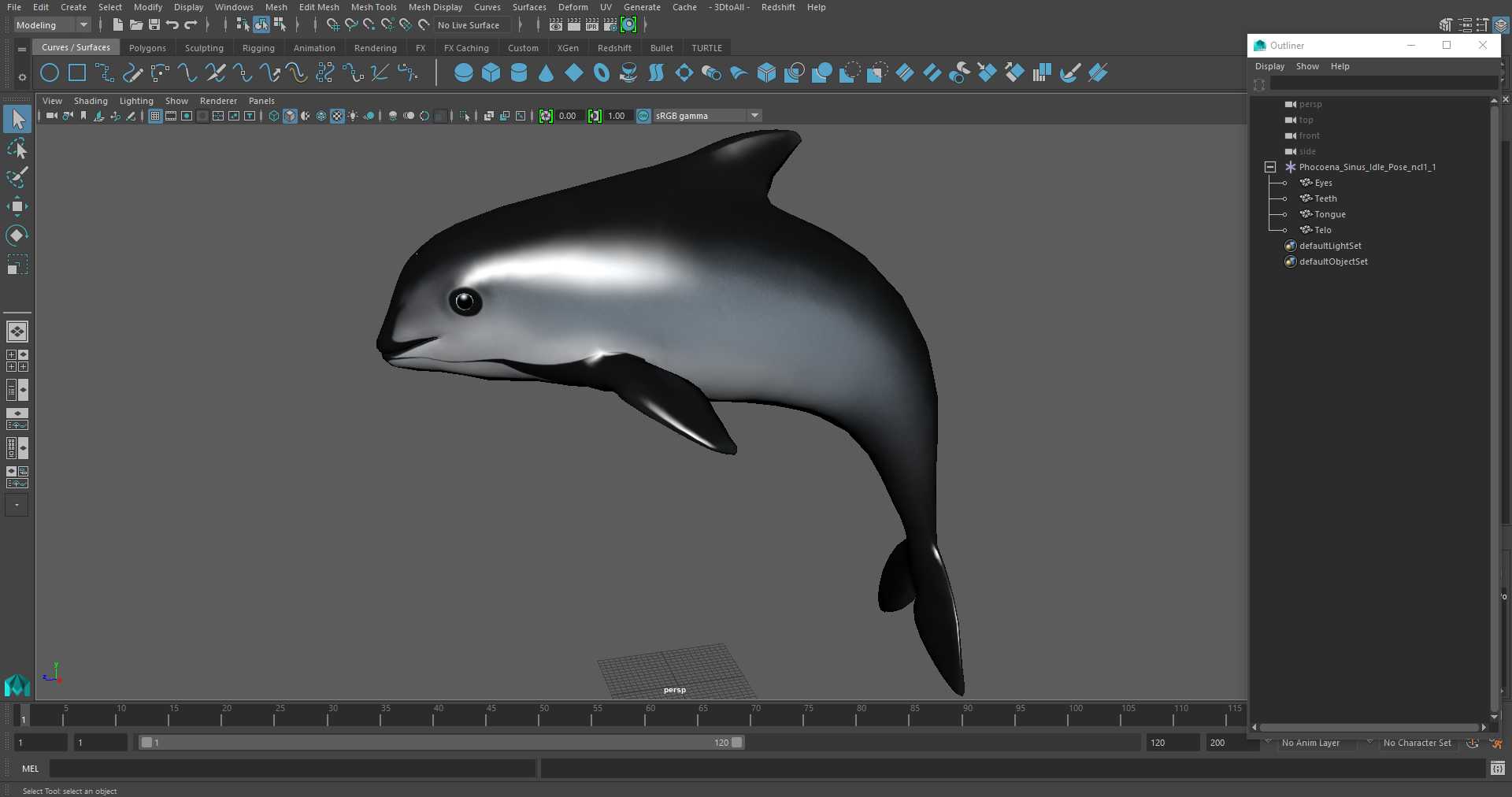 Phocoena Sinus Idle Pose 3D model