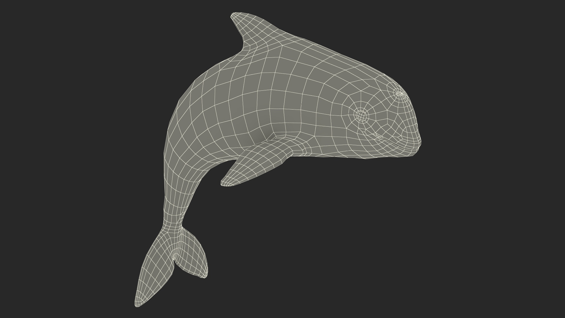 Phocoena Sinus Idle Pose 3D model