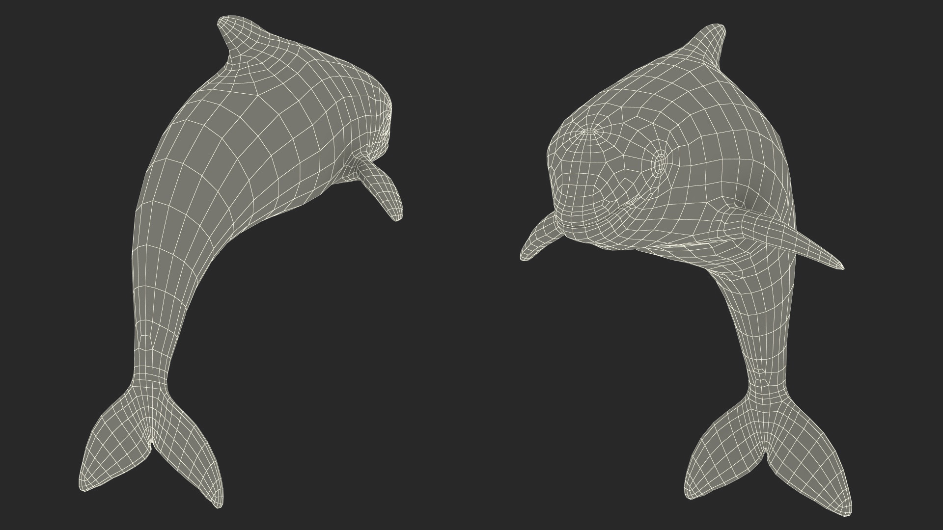 Phocoena Sinus Idle Pose 3D model