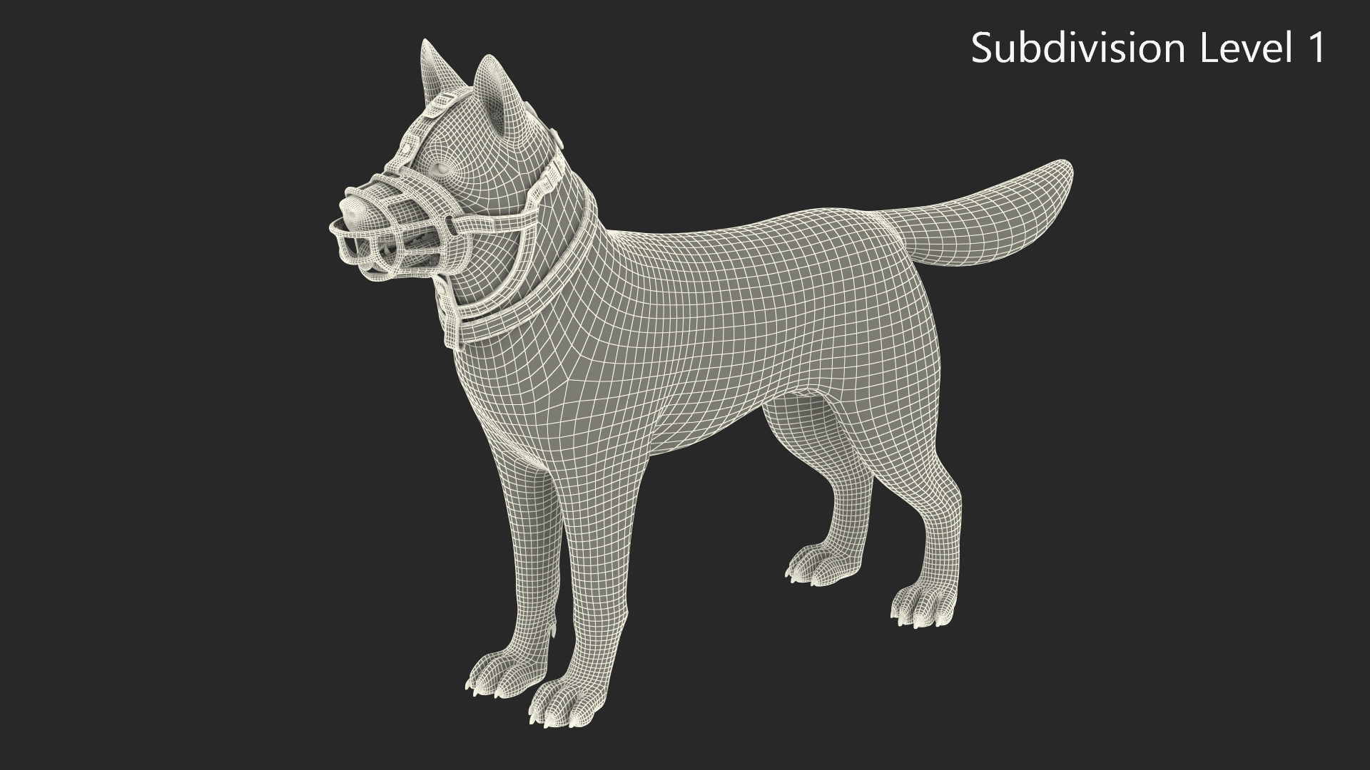 Husky in a Baskerville Muzzle 3D model