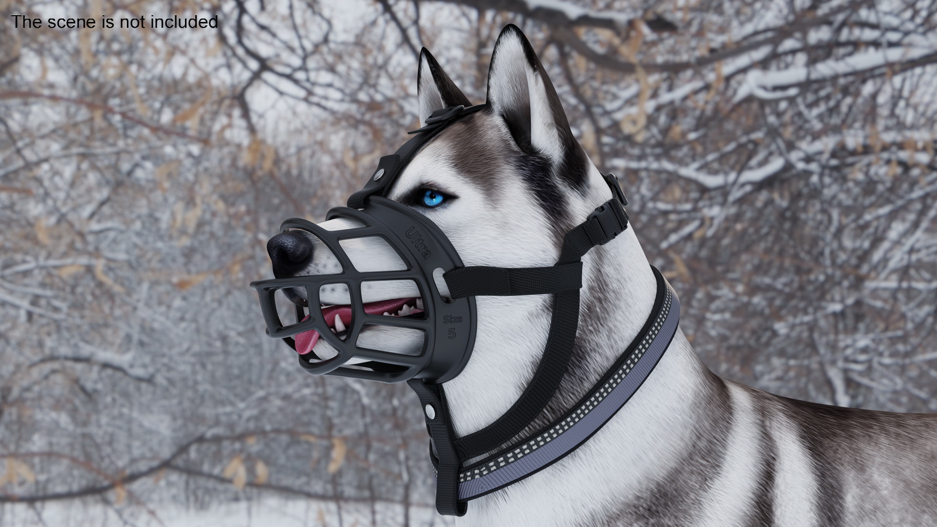 Husky in a Baskerville Muzzle 3D model