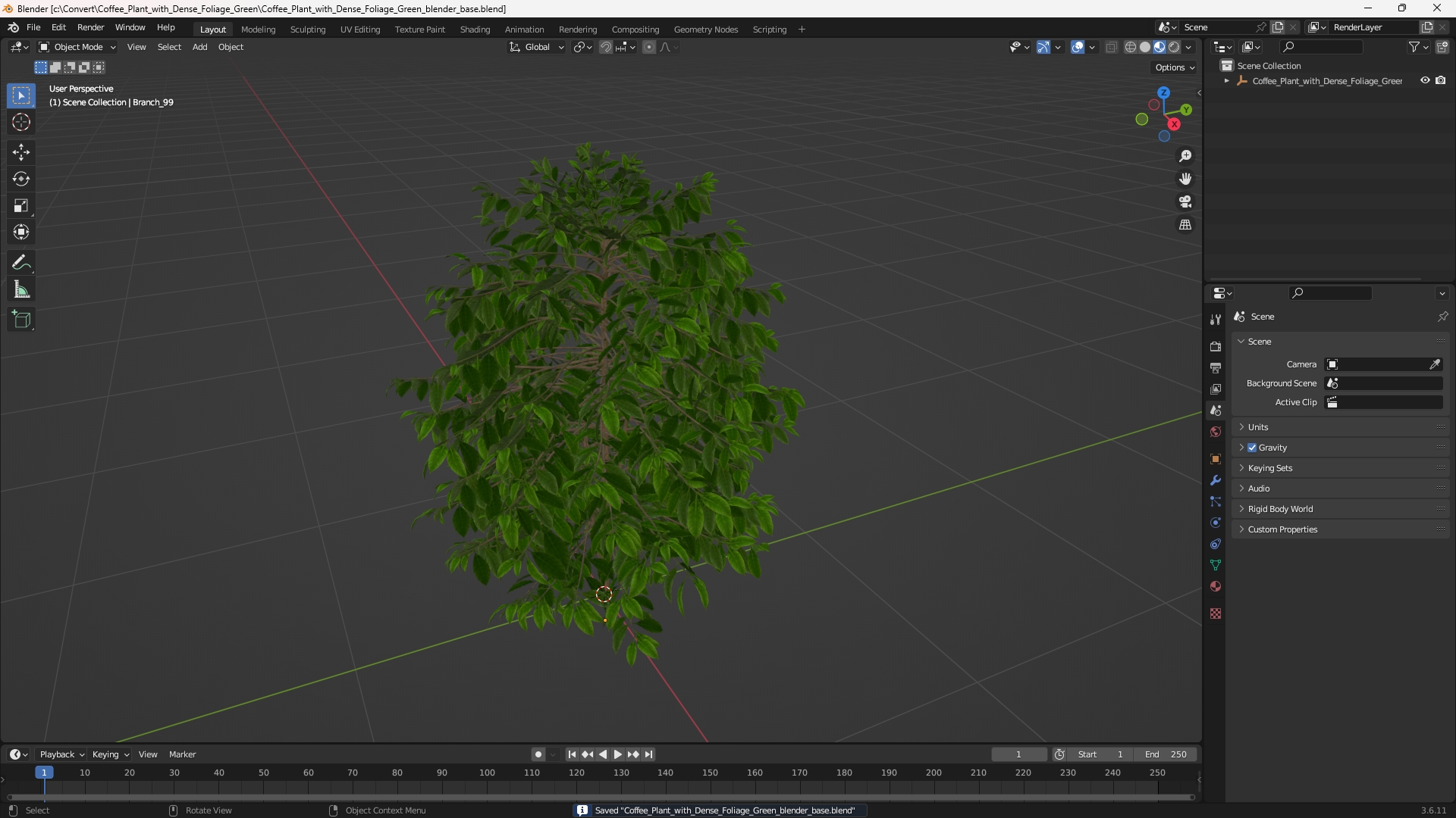 Coffee Plant with Dense Foliage Green, view 9