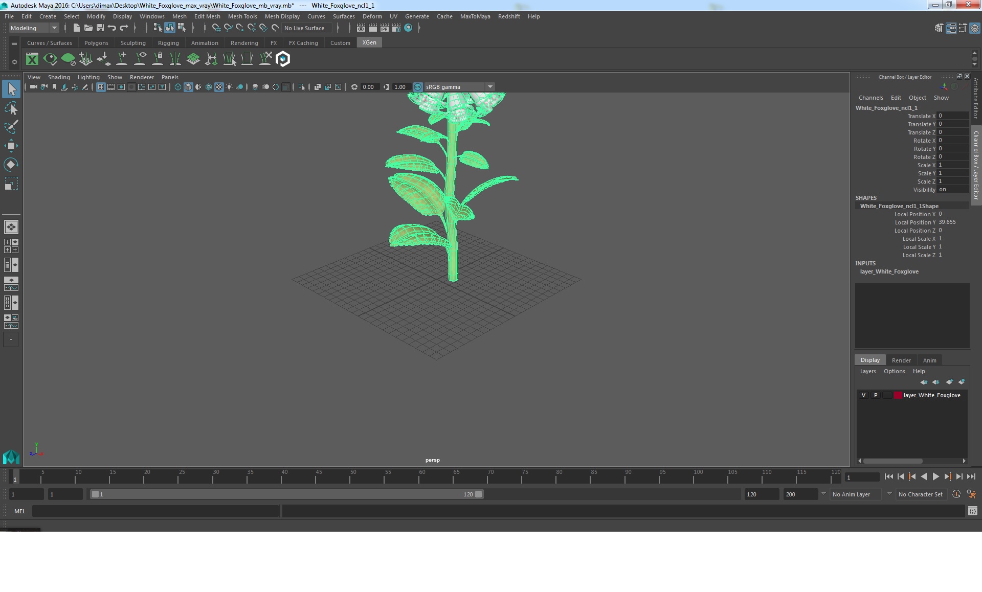 White Foxglove 3D model