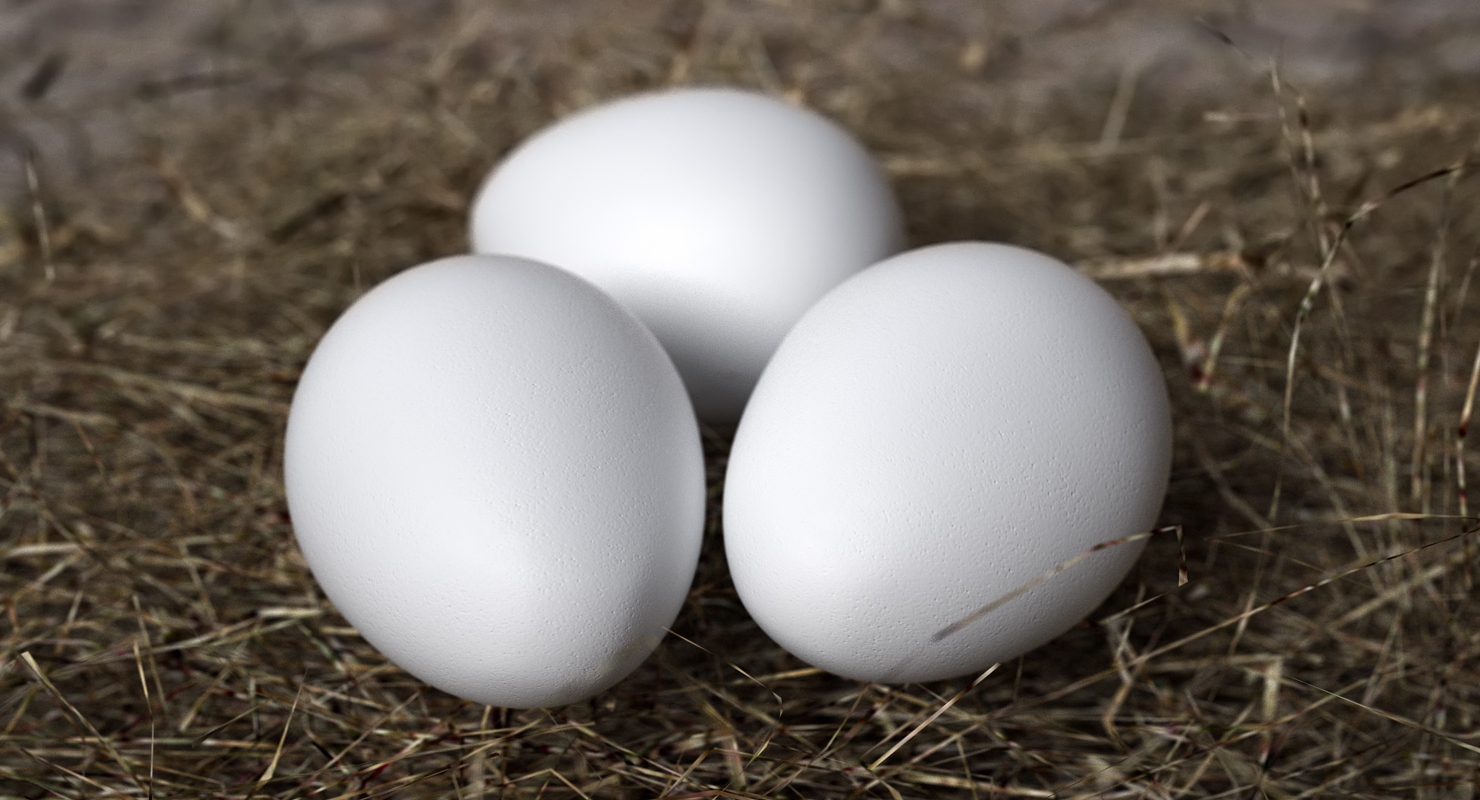 White Egg 3D model