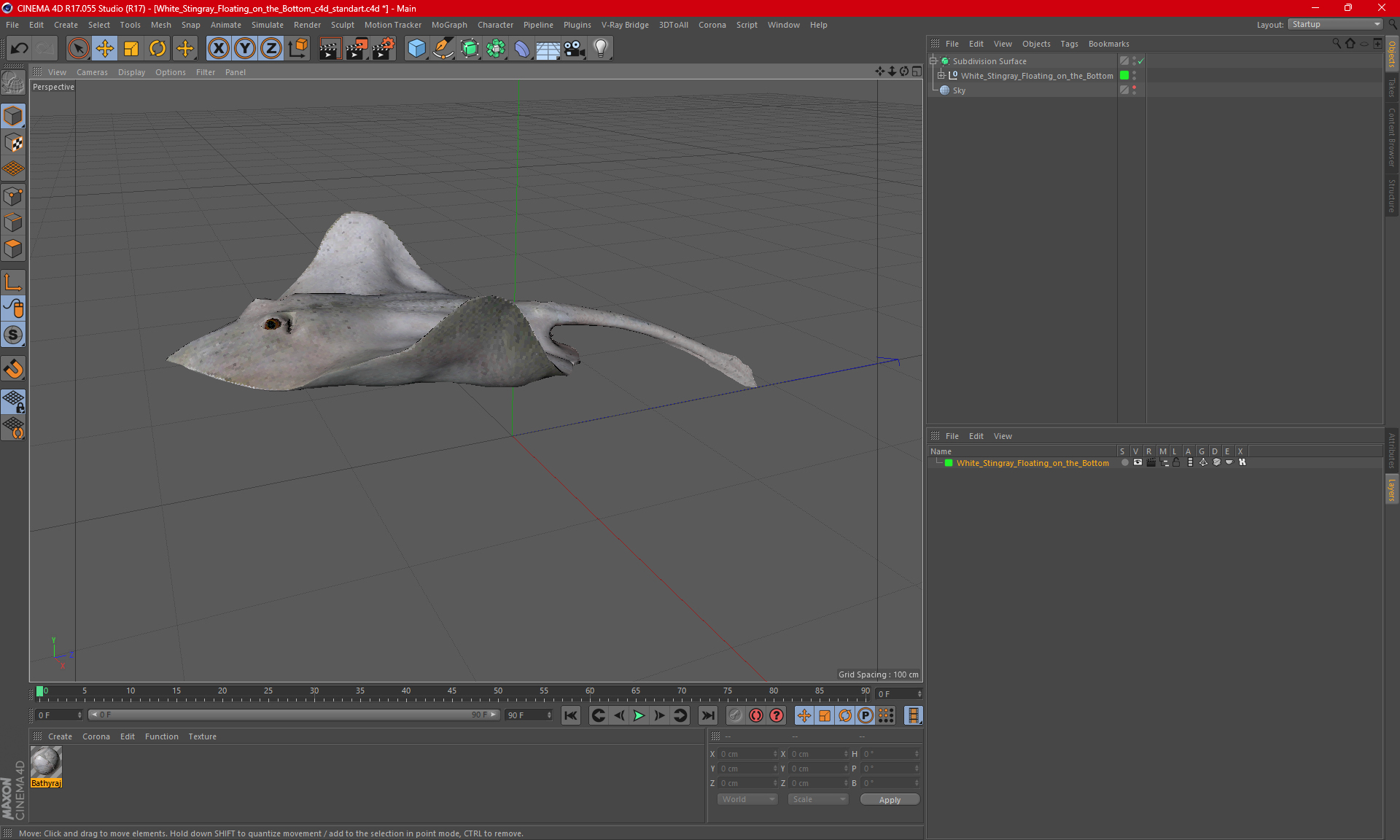White Stingray Floating on the Bottom 3D