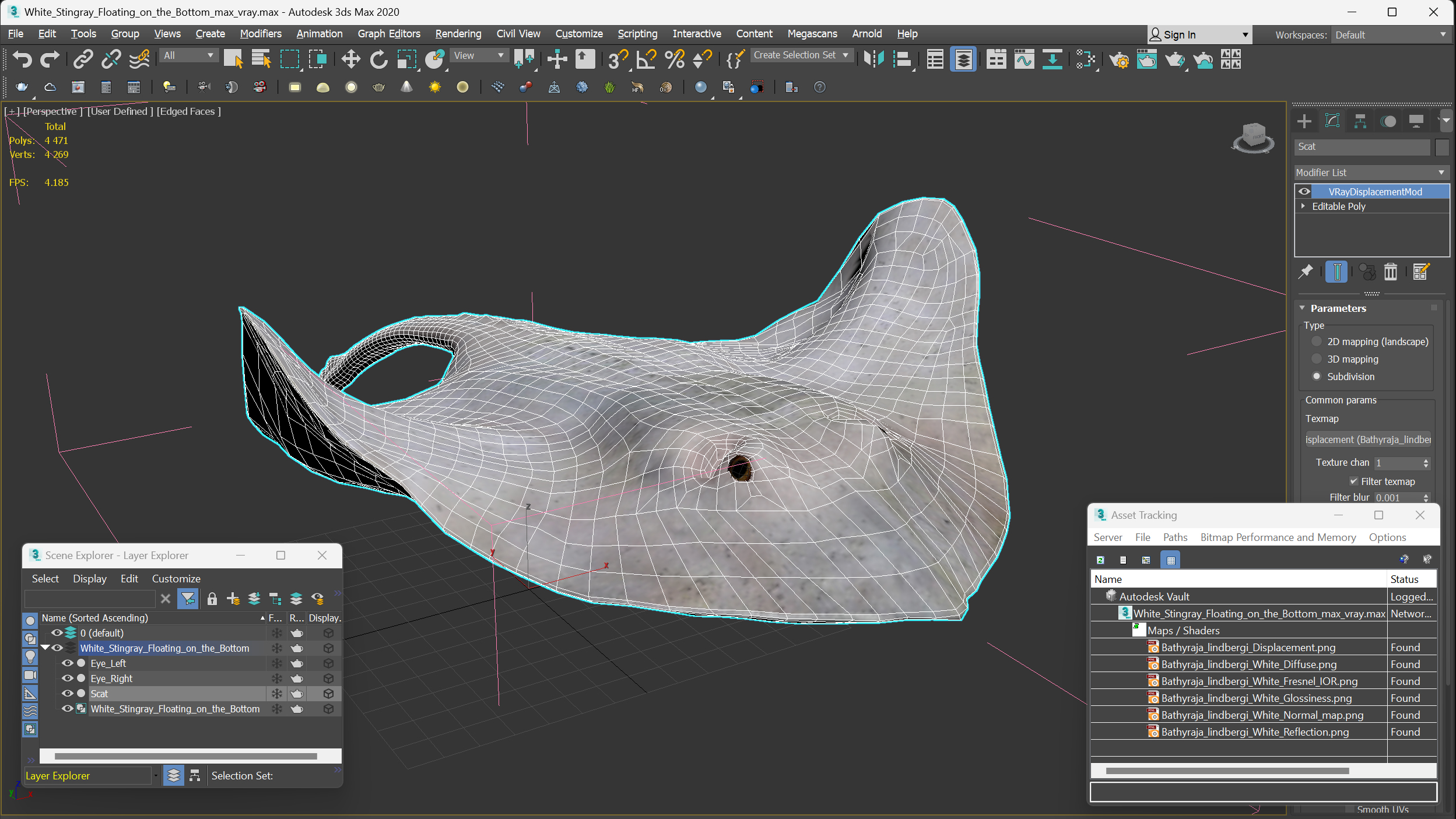 White Stingray Floating on the Bottom 3D