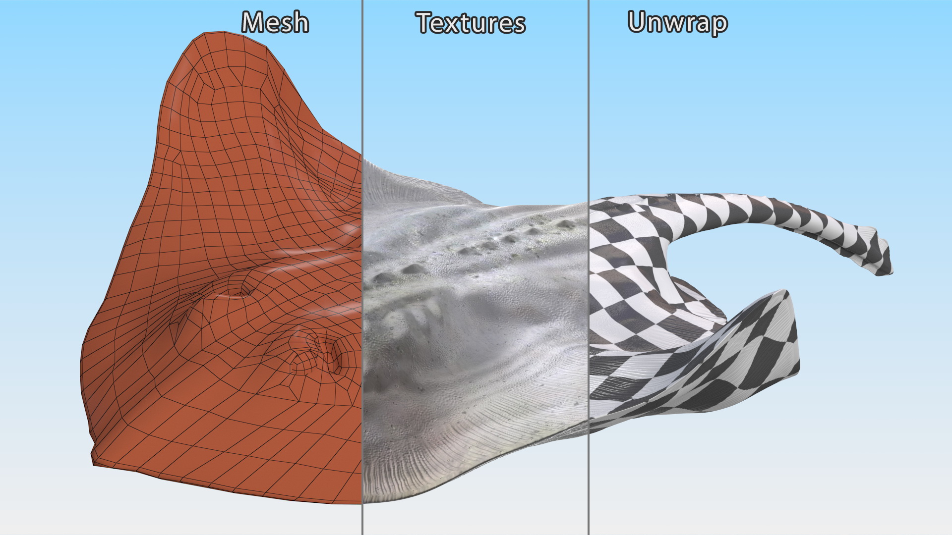 White Stingray Floating on the Bottom 3D