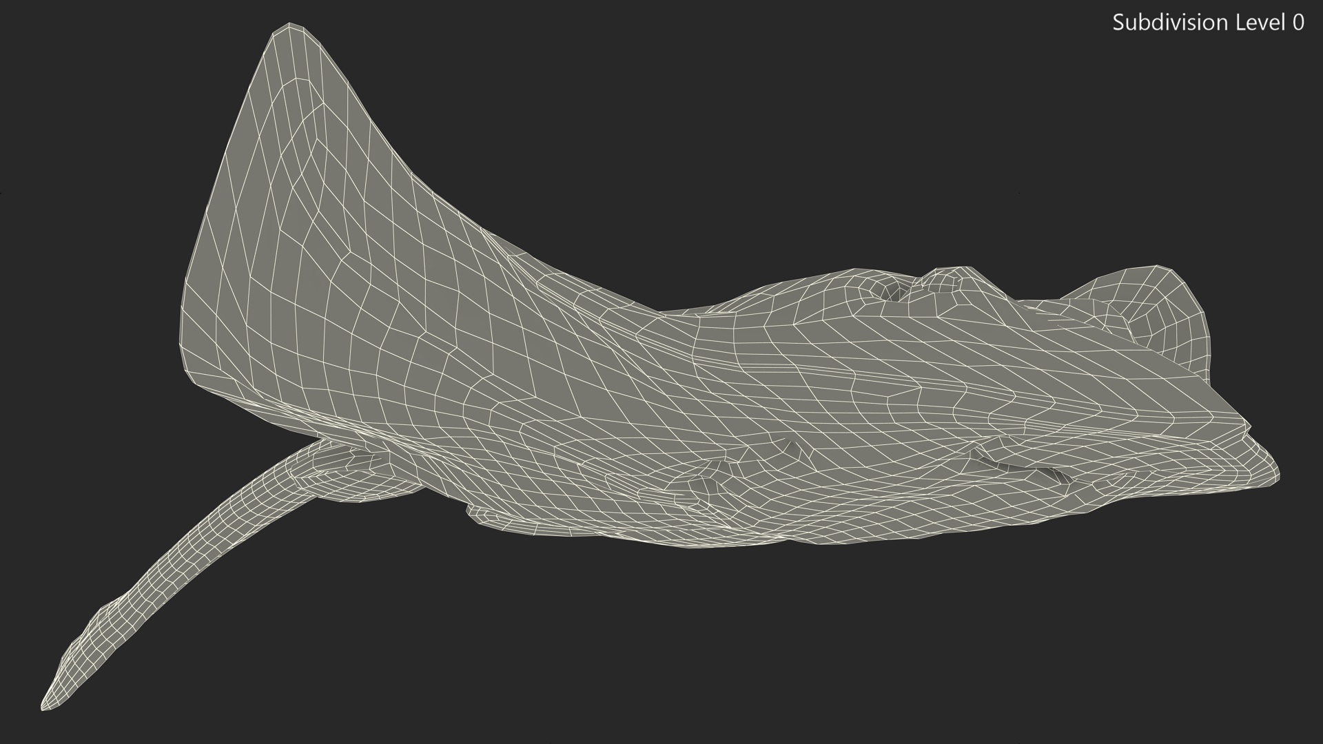 White Stingray Floating on the Bottom 3D