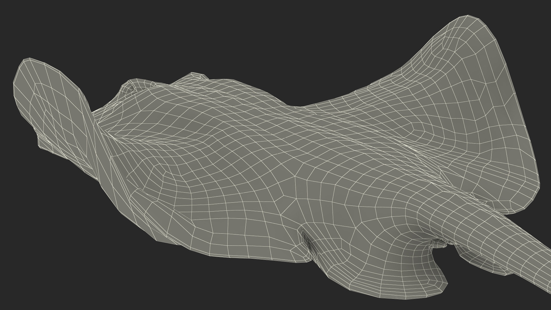 White Stingray Floating on the Bottom 3D