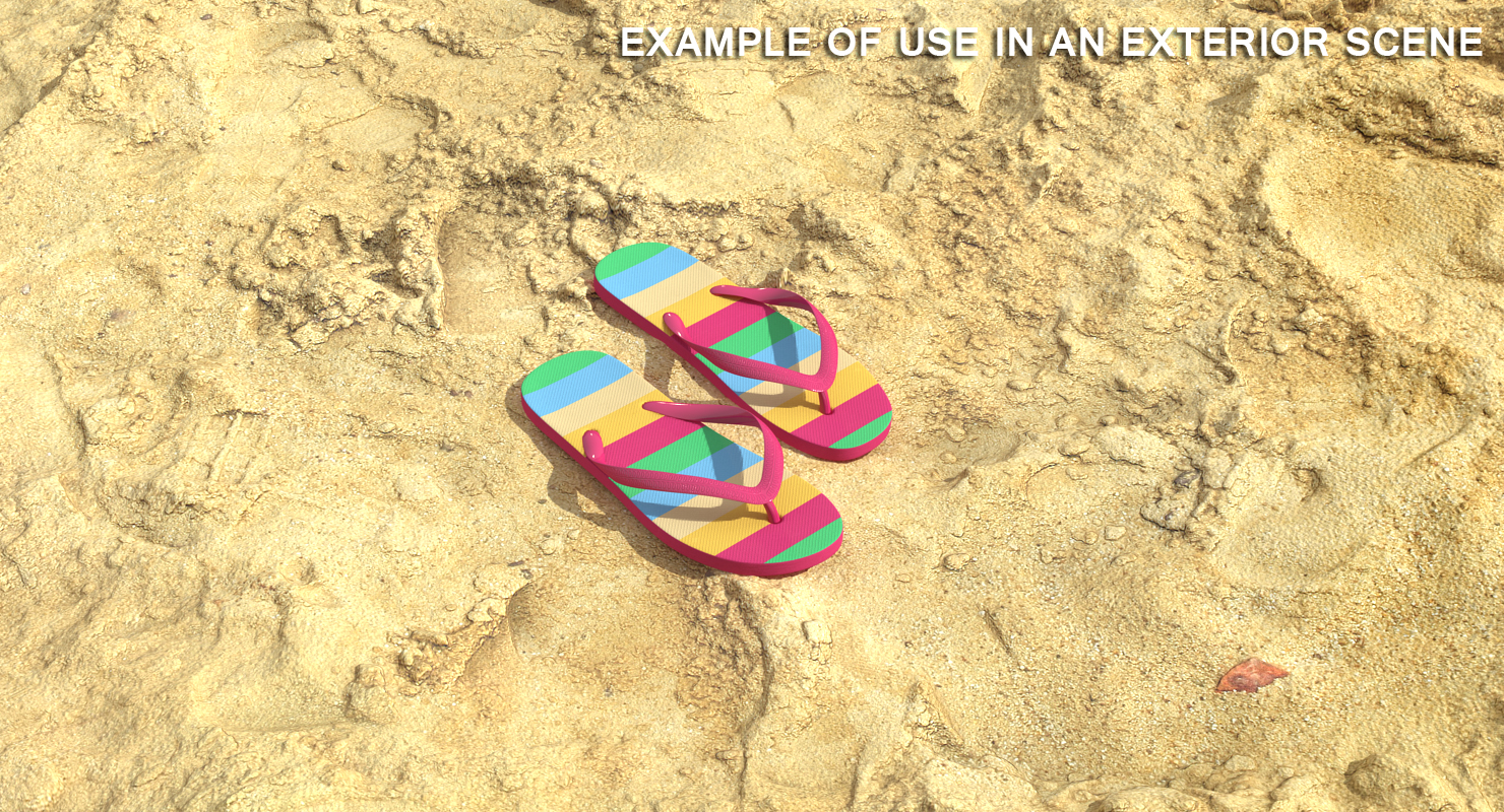 Flip Flop Sandals 3D