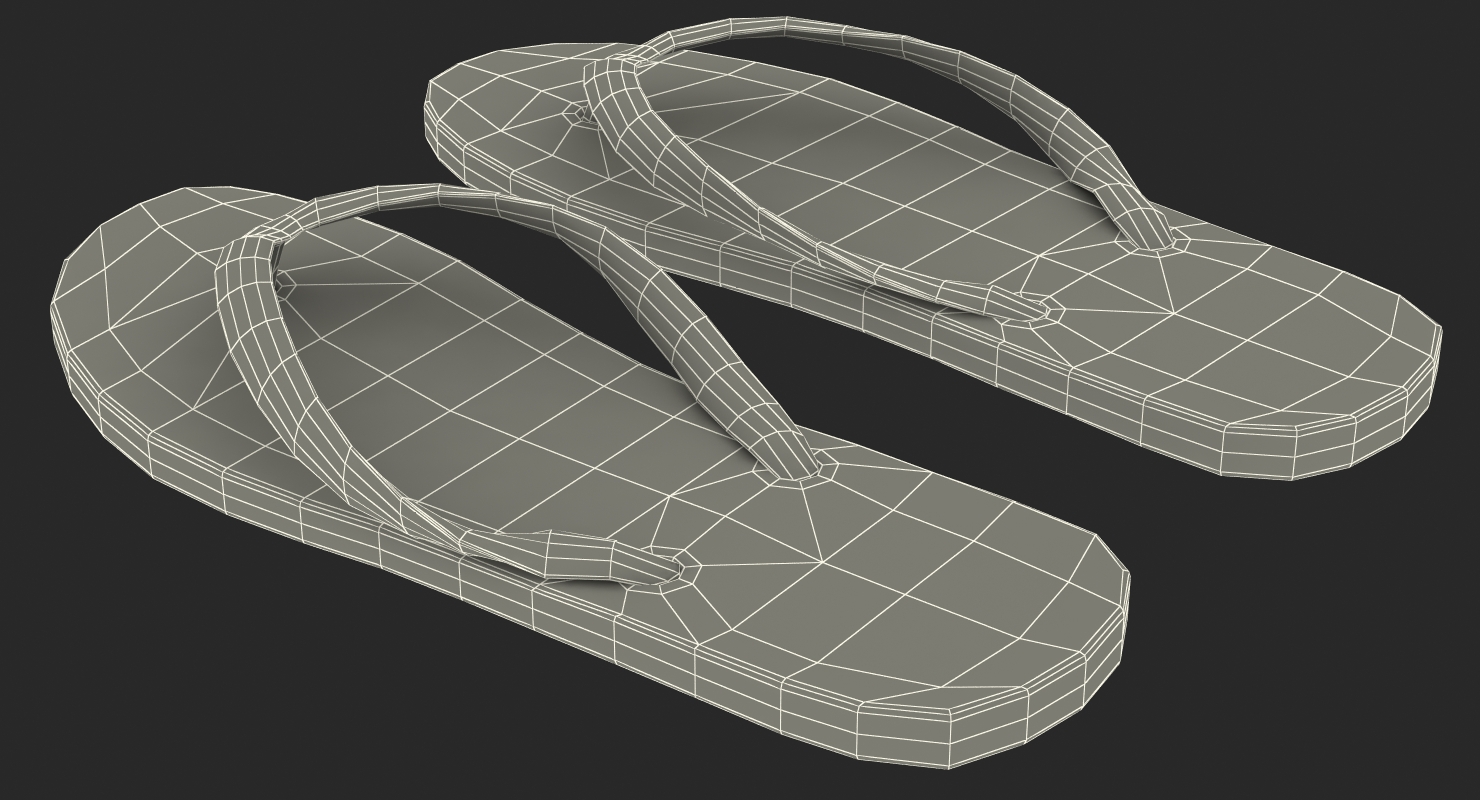 Flip Flop Sandals 3D