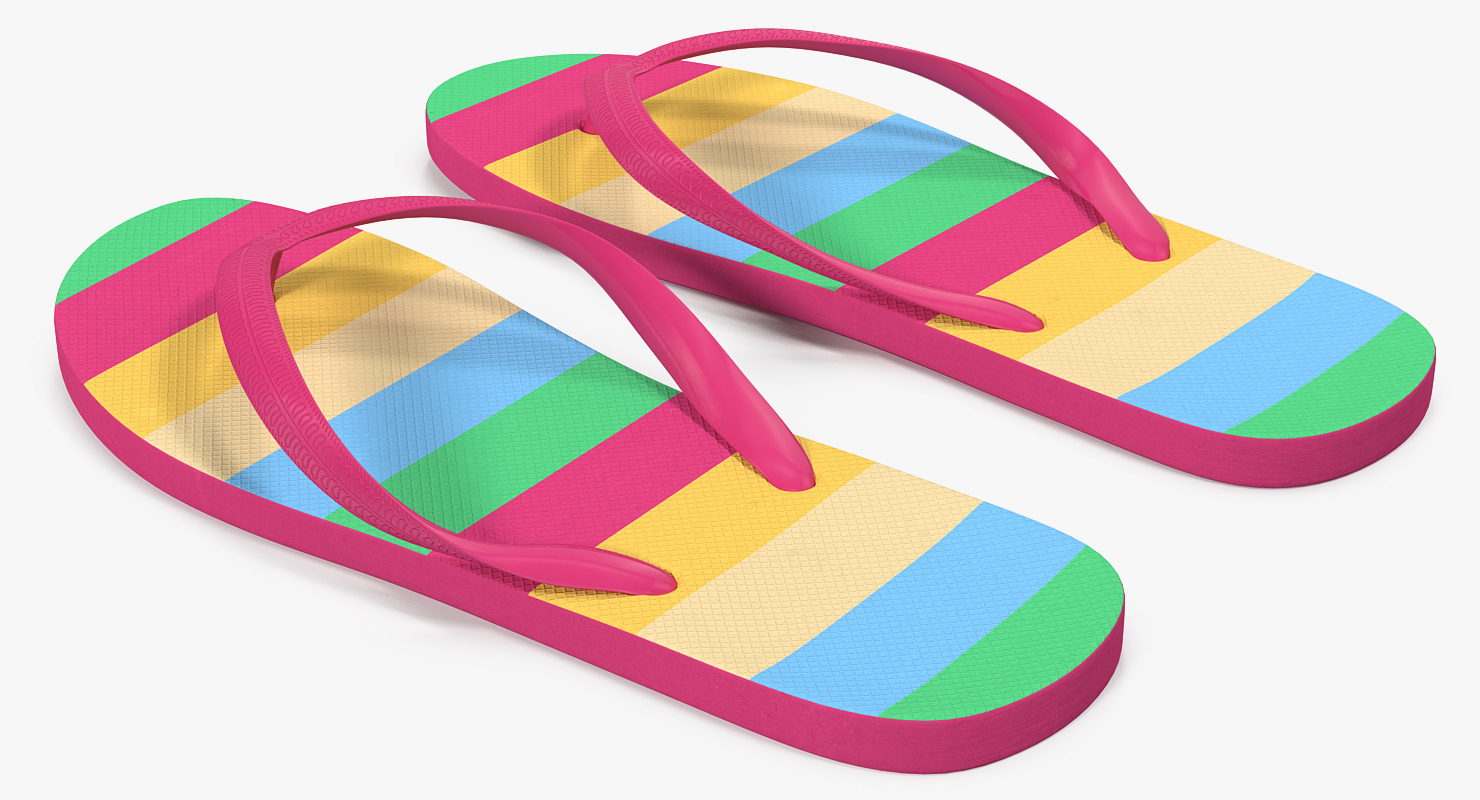 Flip Flop Sandals 3D