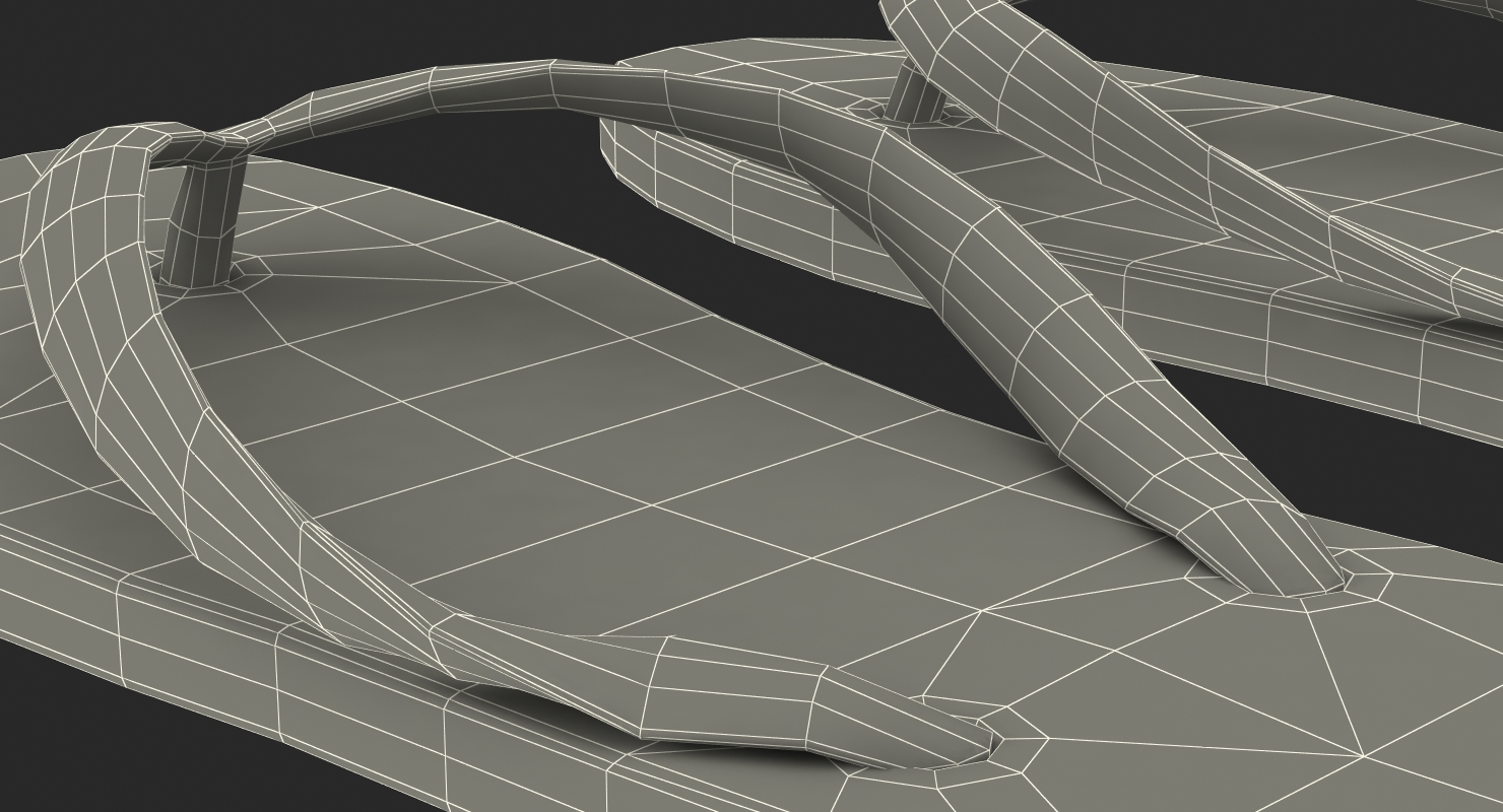 Flip Flop Sandals 3D