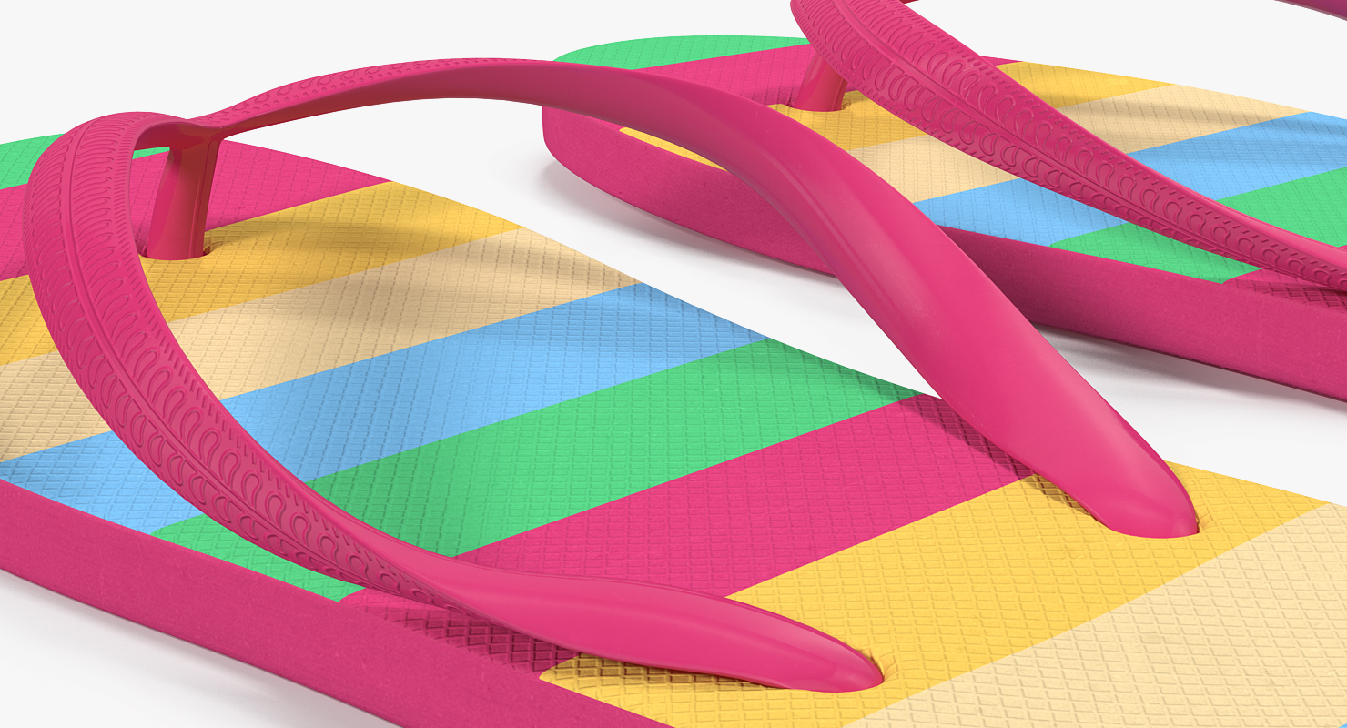 Flip Flop Sandals 3D