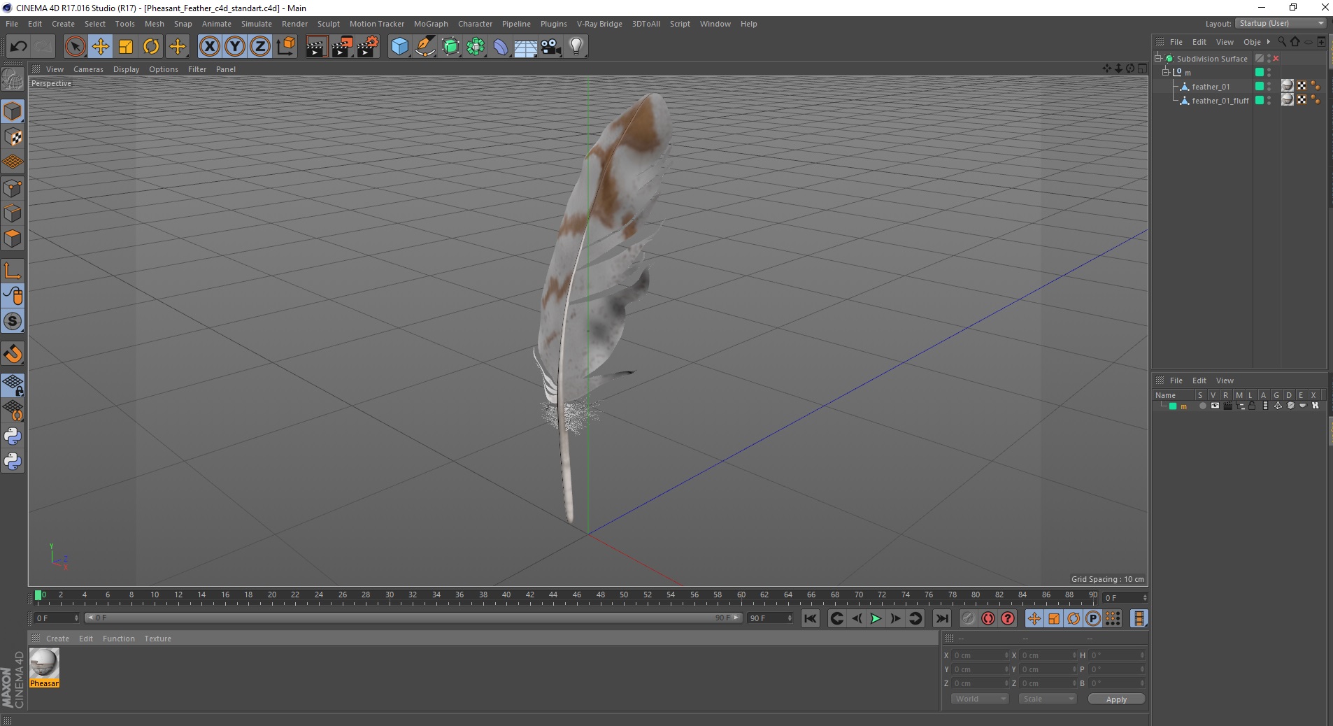 3D Pheasant Feather