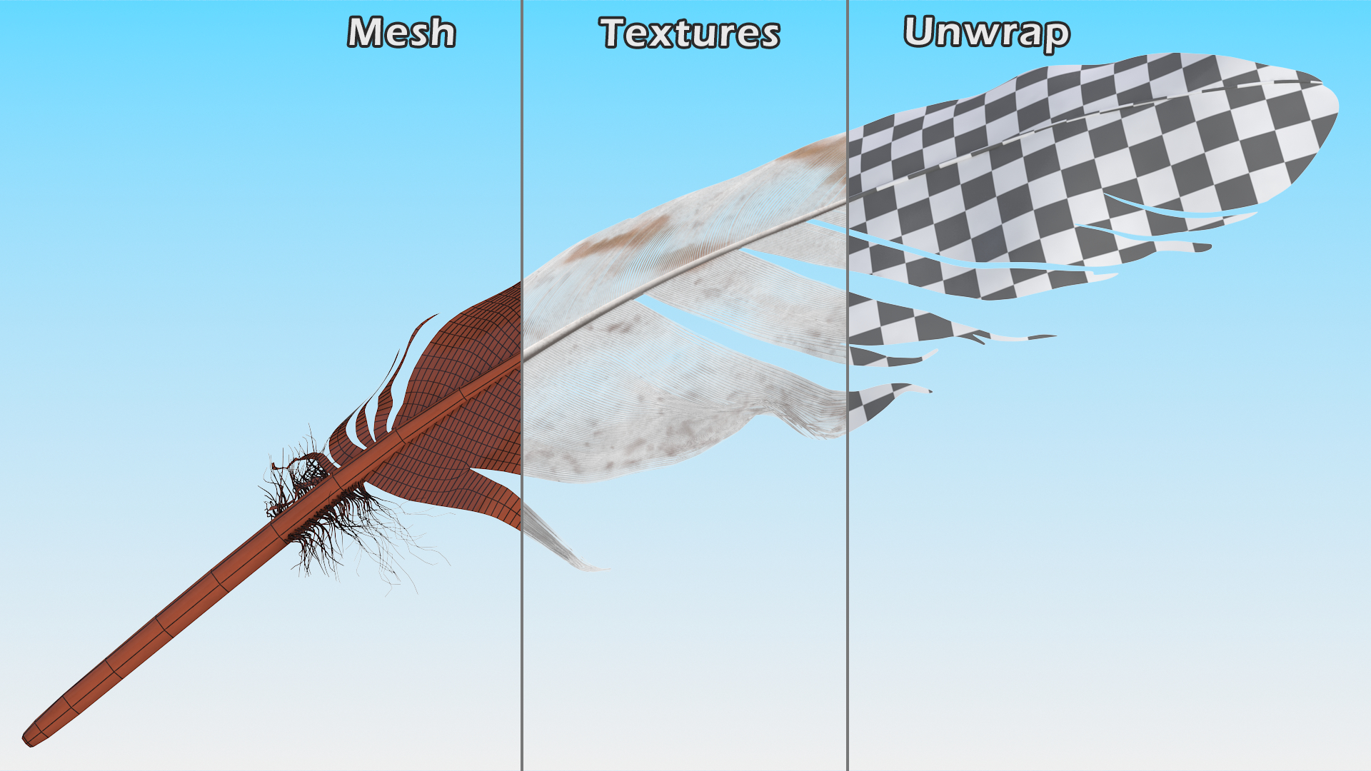 3D Pheasant Feather