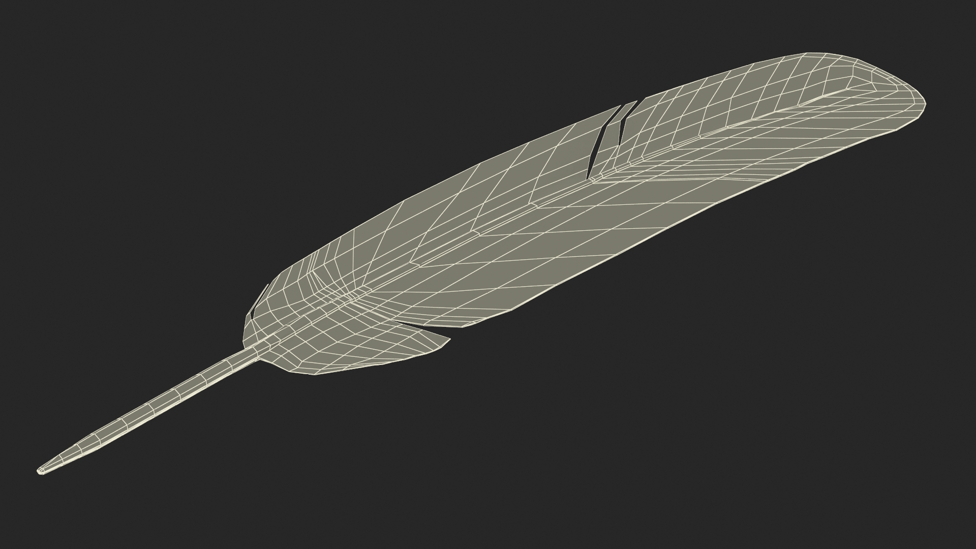 3D Ruffed Grouse Feather