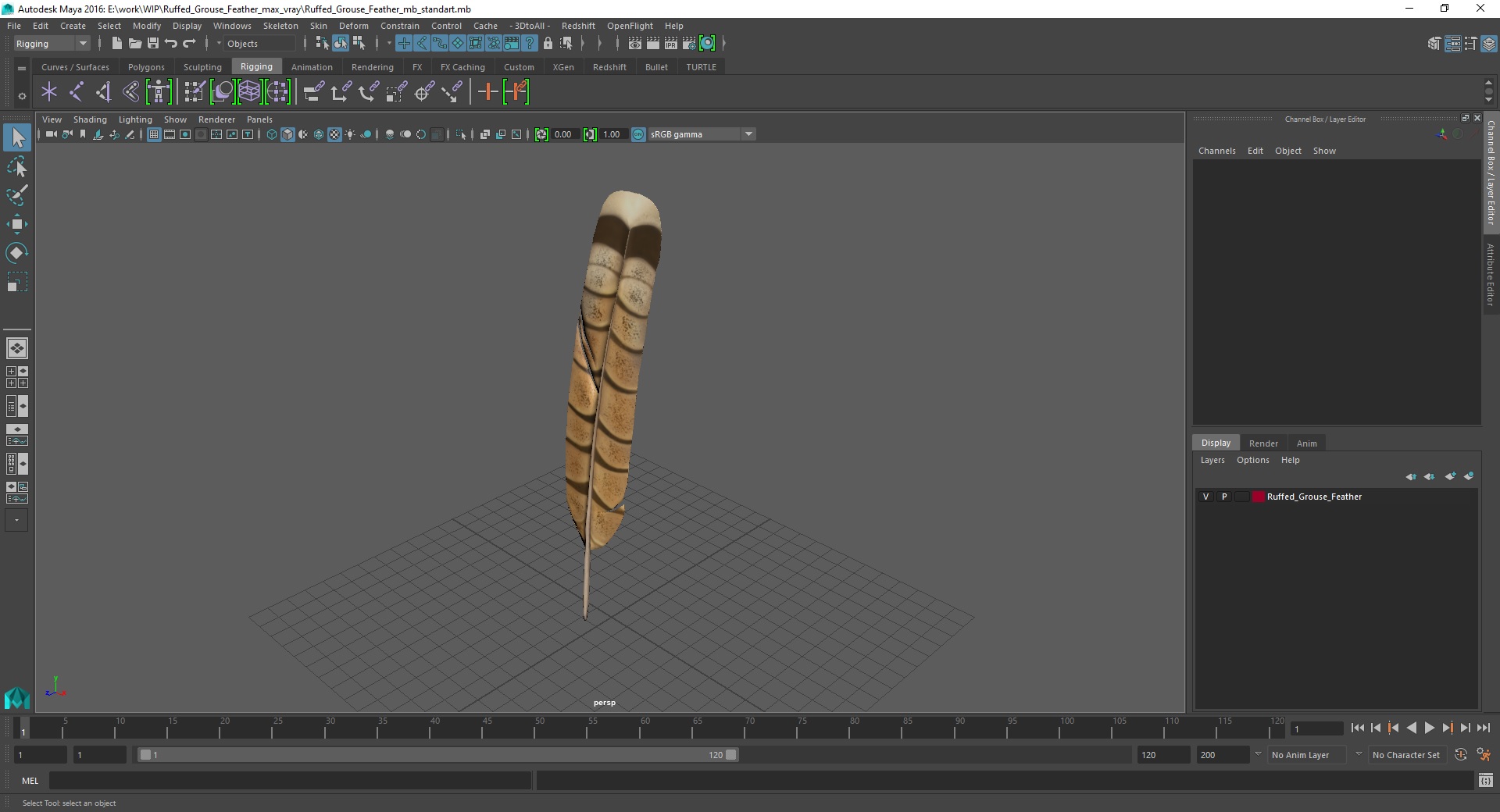 3D Ruffed Grouse Feather